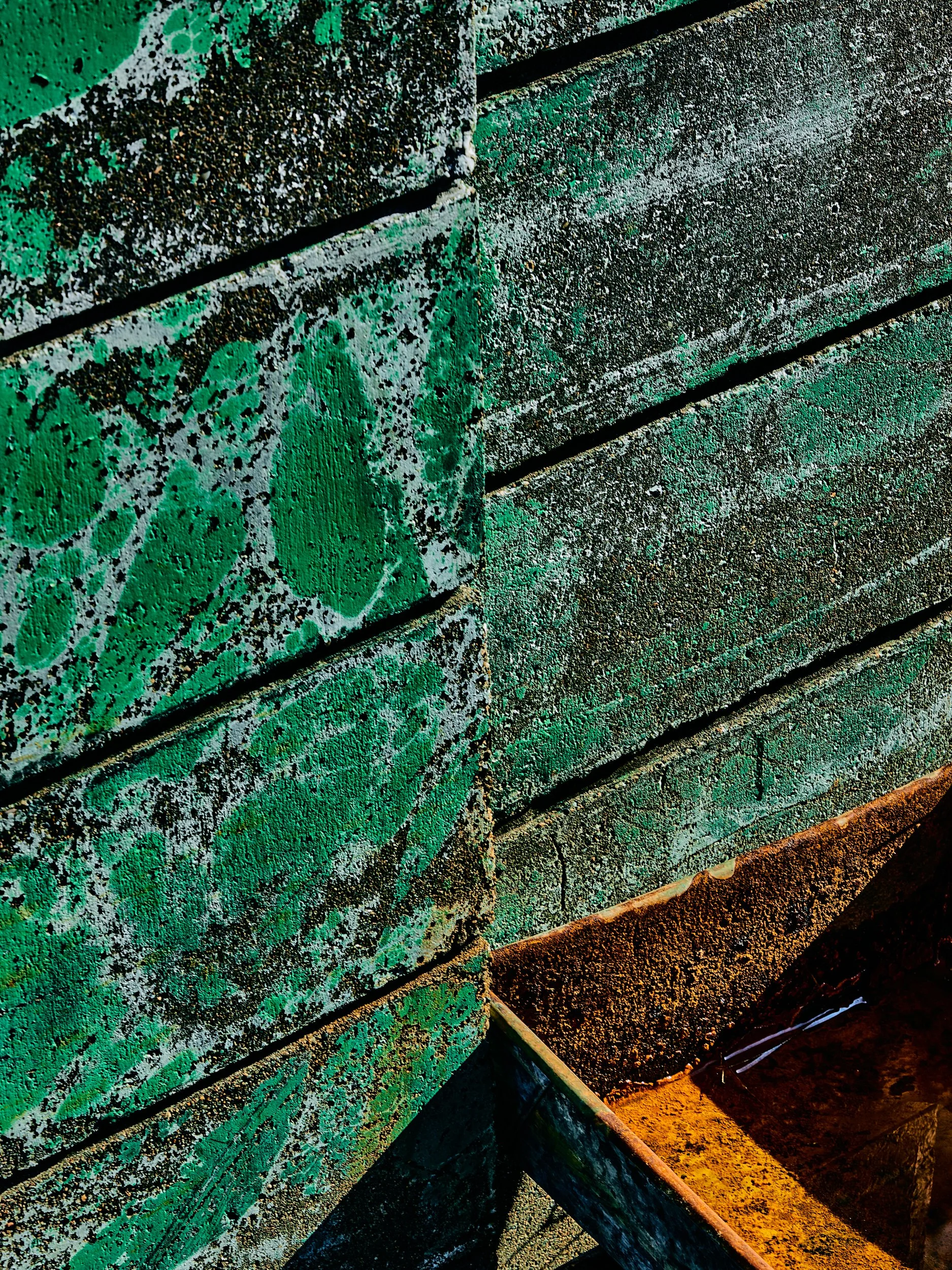 銚子241214_ 081.jpeg