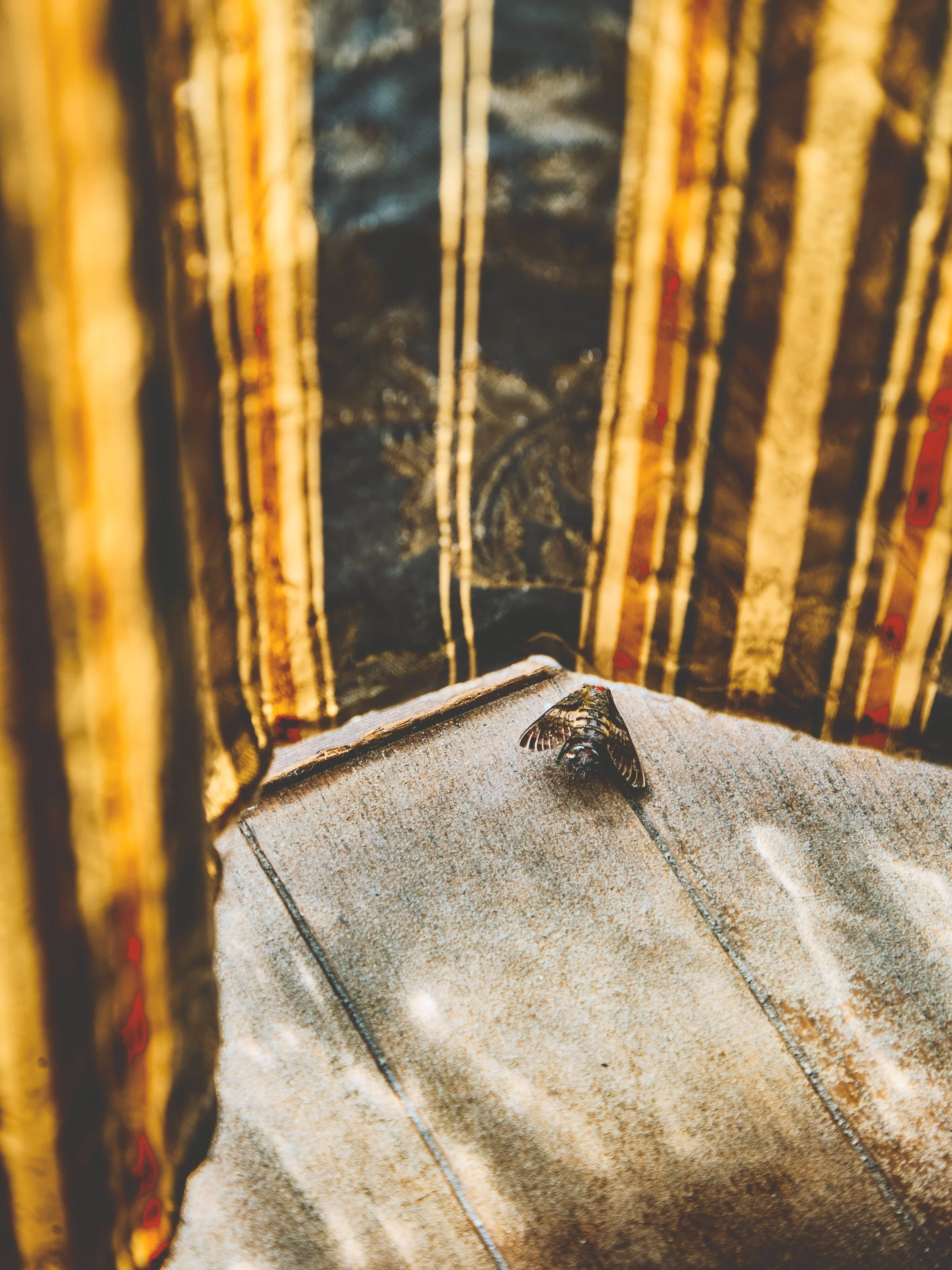 01_TETSUYA OOMURO.jpg