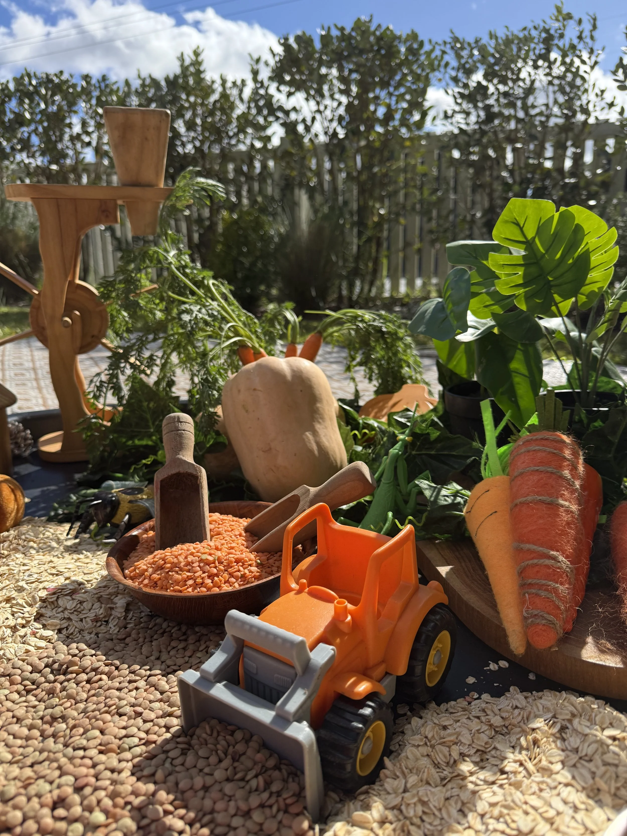 Toy tractor among large carrots, squash, and green plants outdoors on a wooden surface with other gardening items in sunlight.