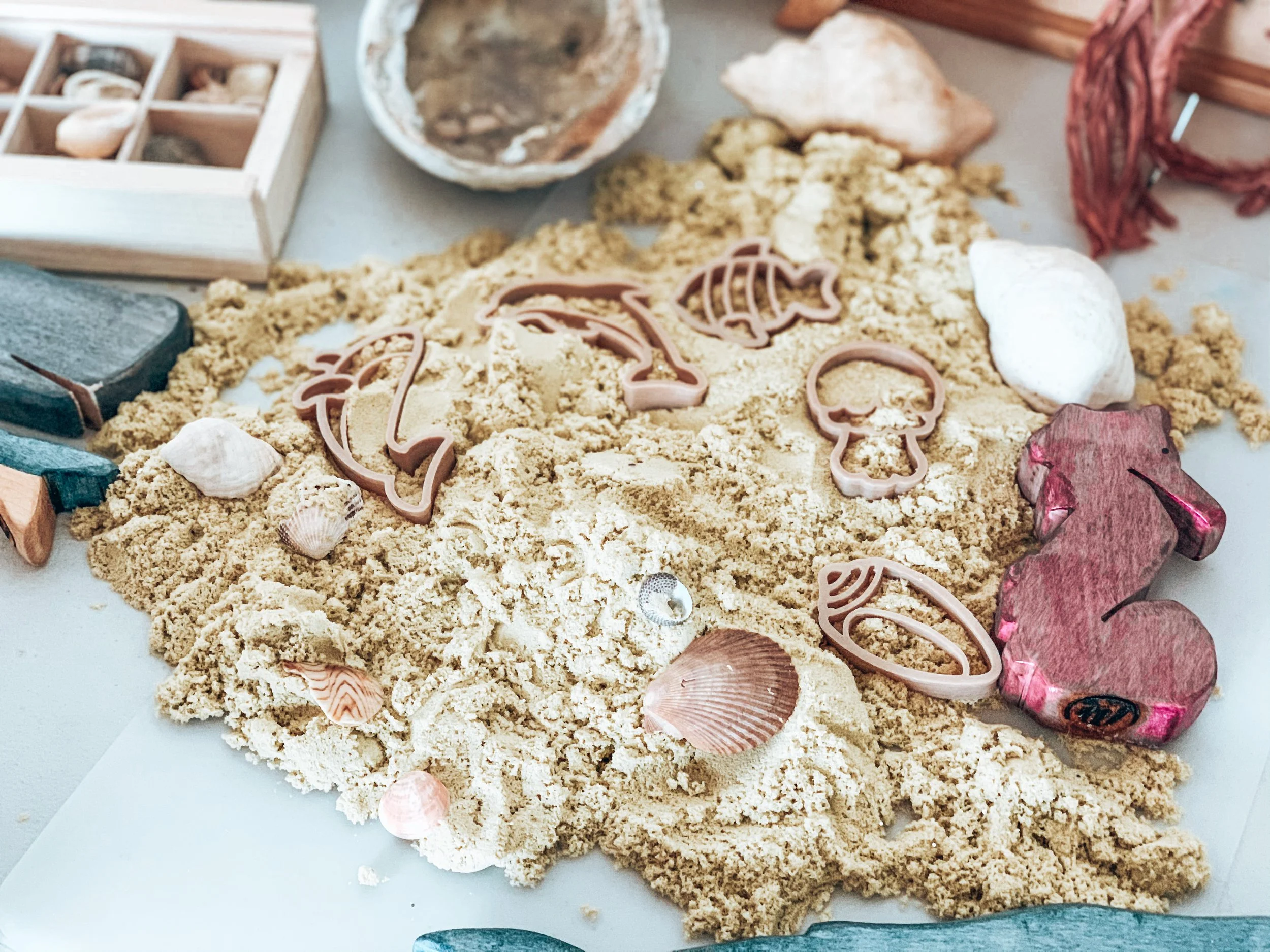 Photo 24-3-21, 9 31 00 am.jpg