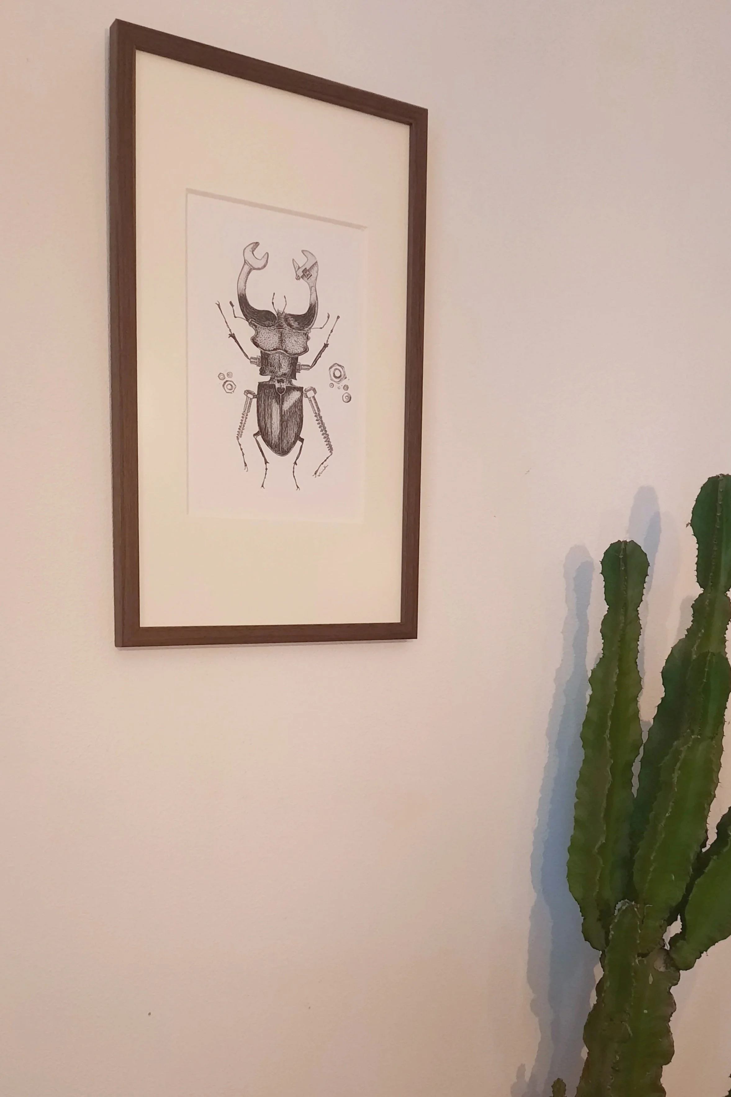 20251114_134640.jpg