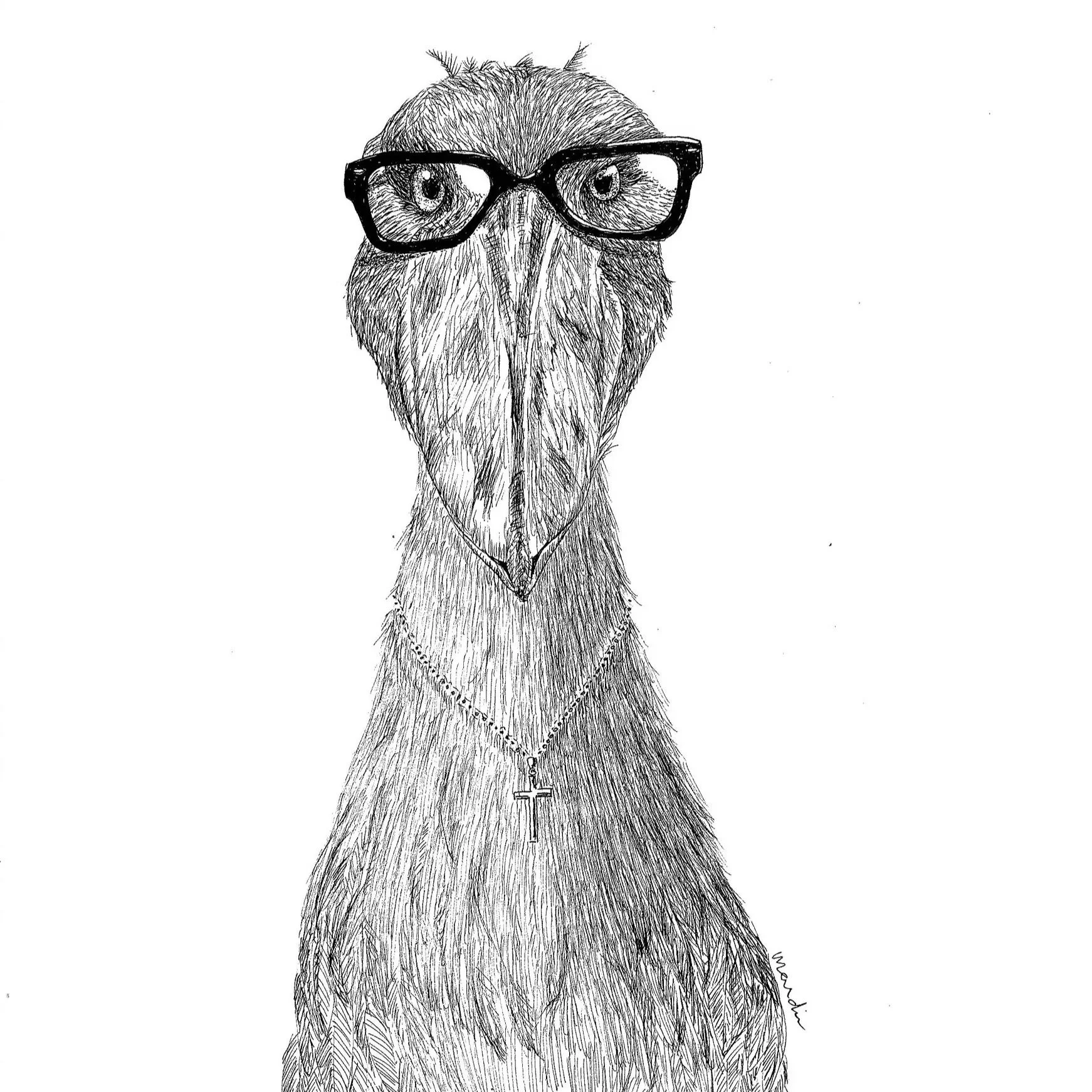Shoebill.jpg