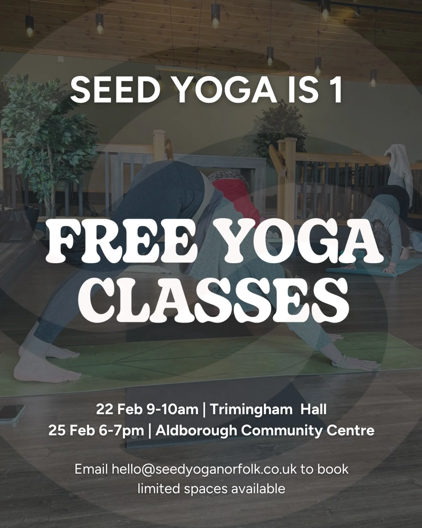 ✨ SEED YOGA IS 1 ✨

I can&rsquo;t quite believe it but this month marks one year of me teaching yoga, and I want to say a HUGE thank you and celebrate by offering two free classes 🤍

Whether you&rsquo;re a regular, you haven&rsquo;t been for a while