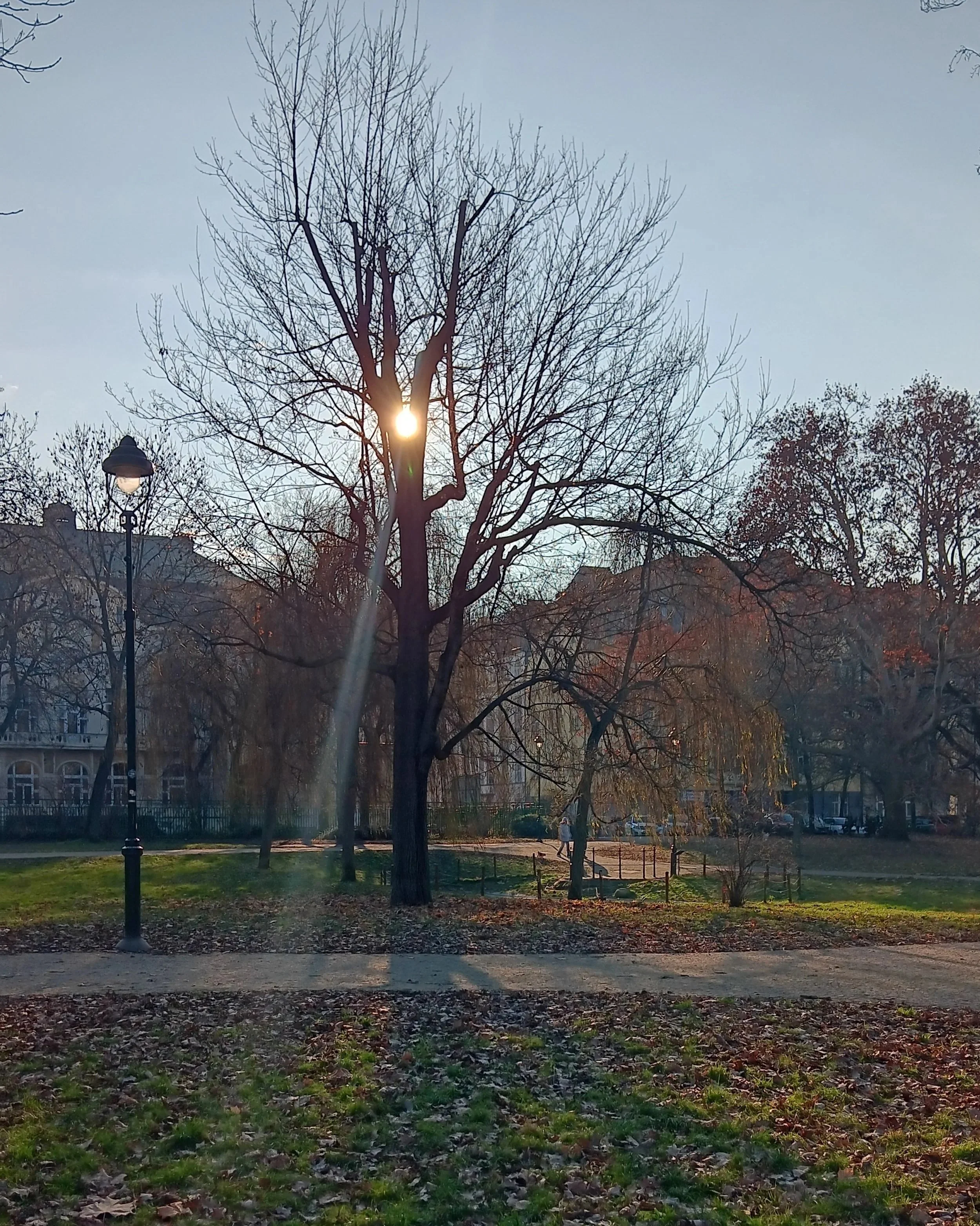 Head & Heart 4 Seasons Gift Card