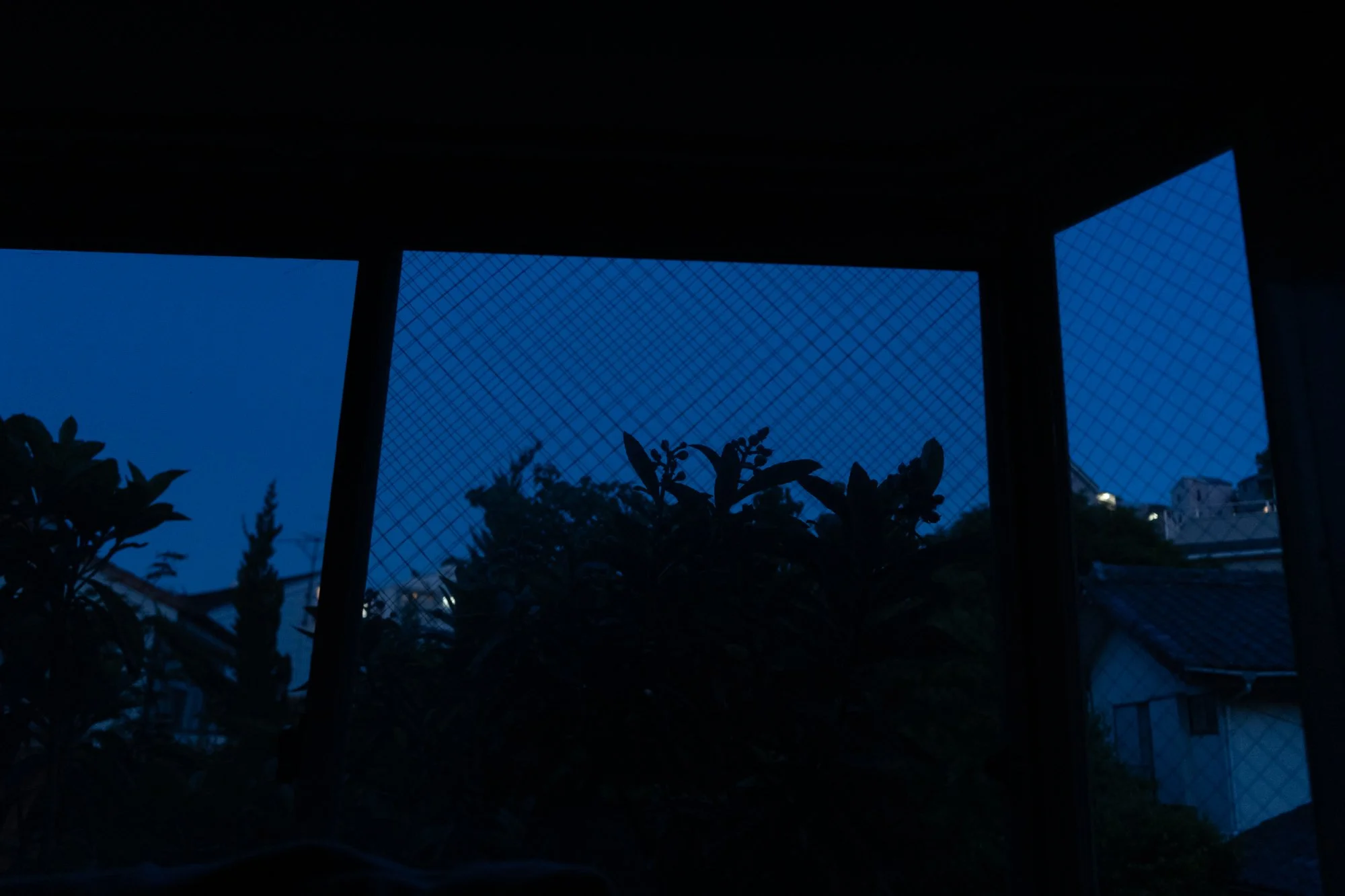 250525_1216.jpg