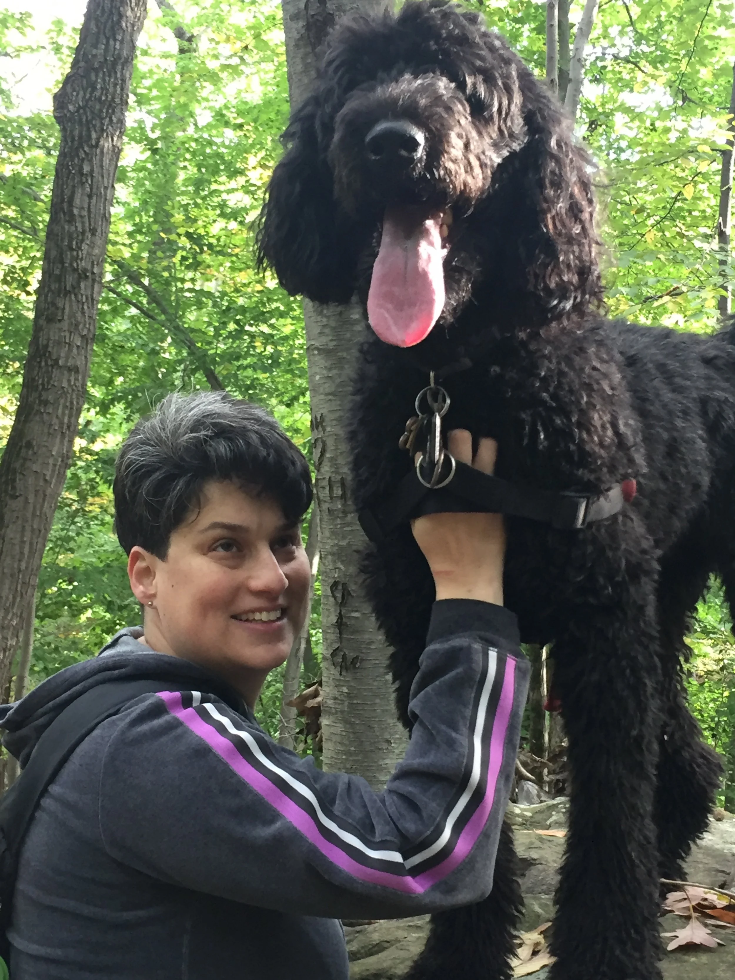 Junebug Habibi — A Grief Reflection