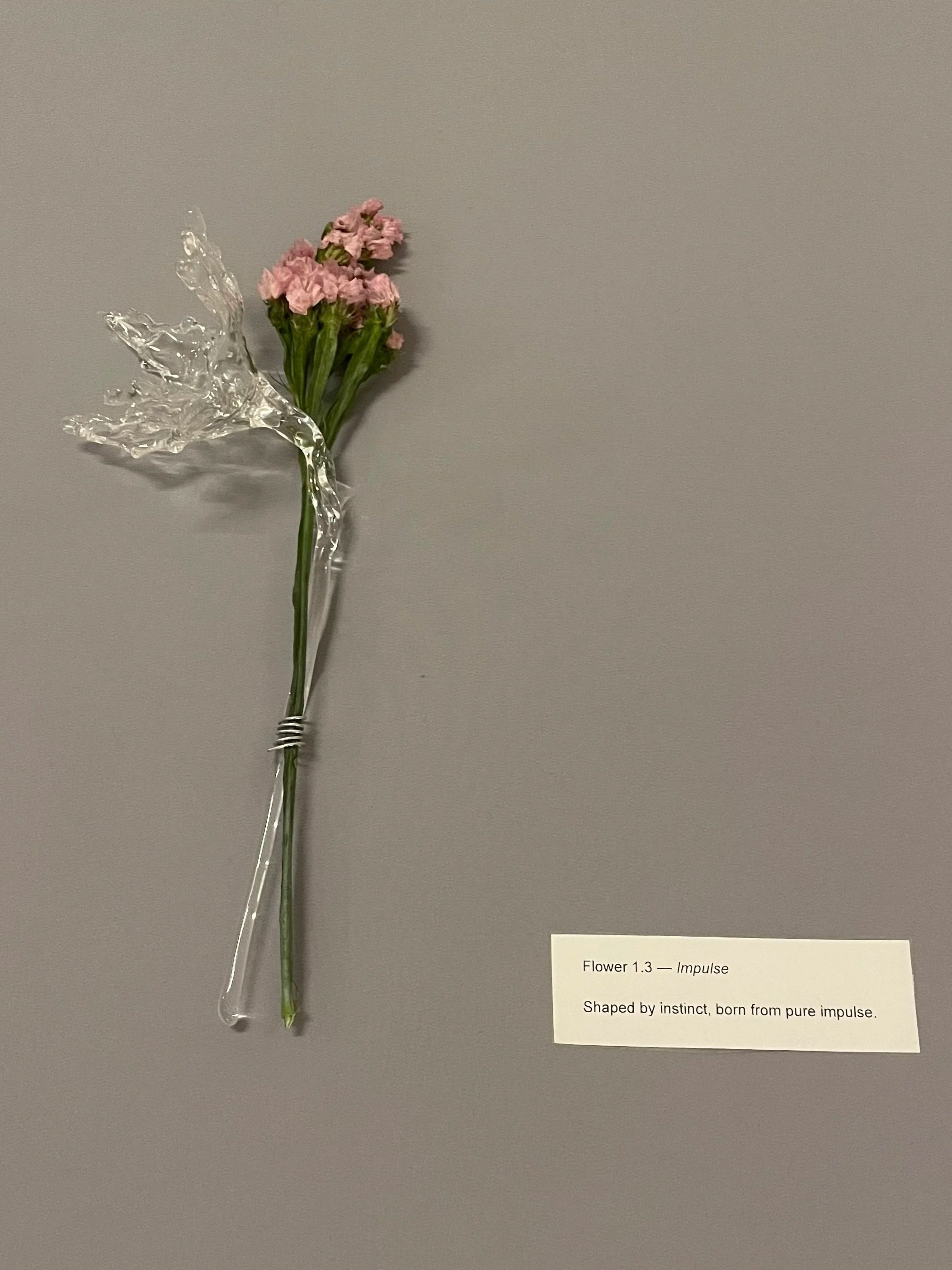 Flower 1.3 Impuse