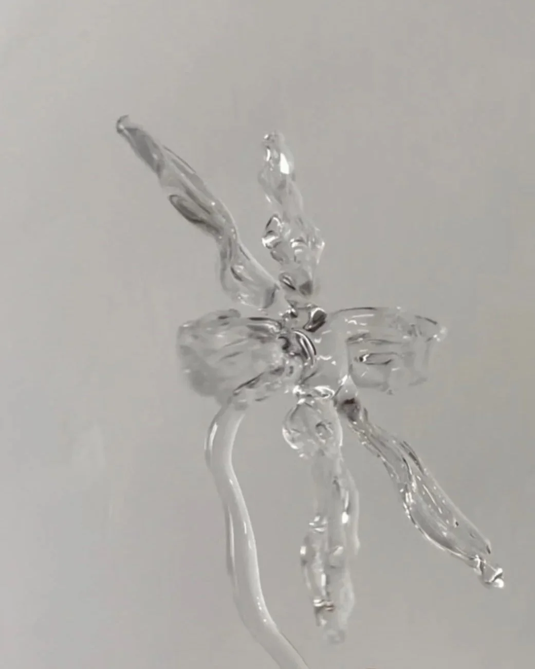 A8C18053-2CB6-42B5-89C6-DC122E60D5D9.jpg
