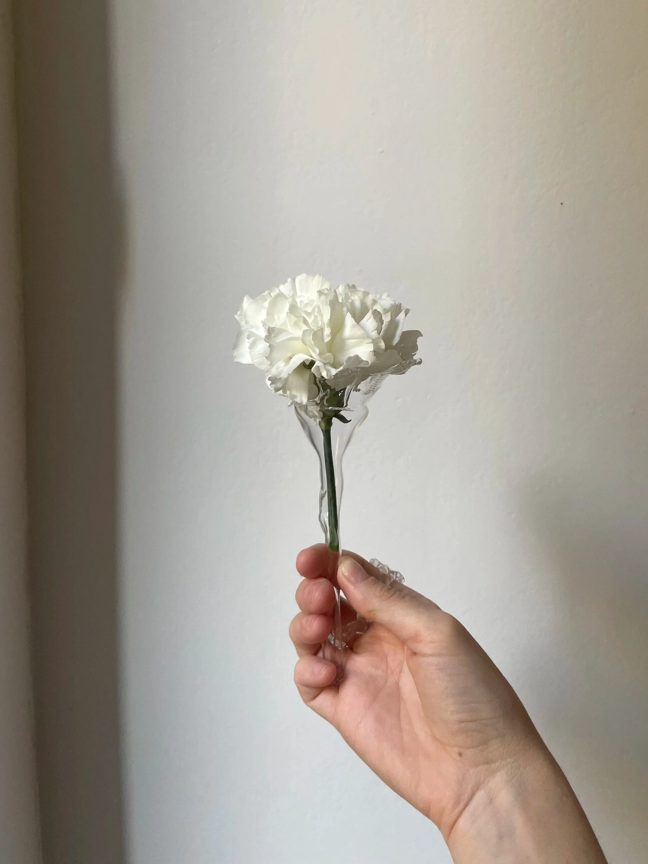 Flower 1.1  "No soy yo sin vos"