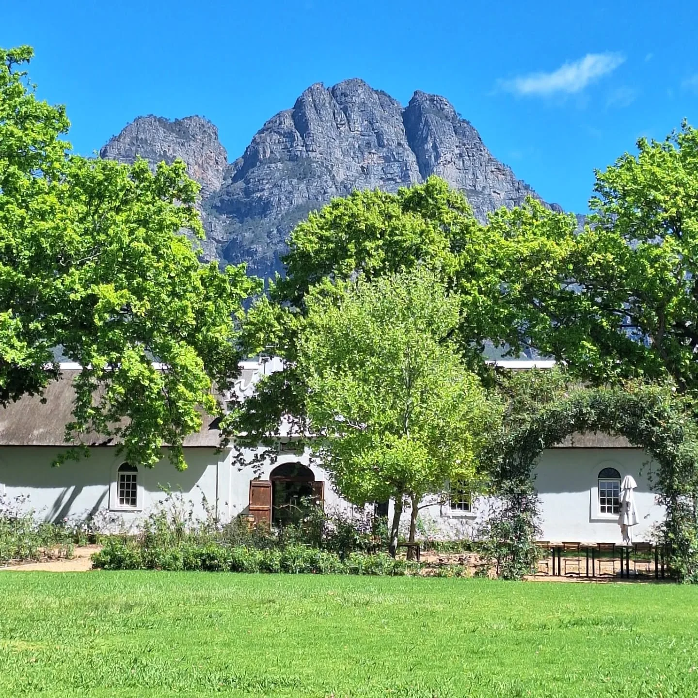 Visiting #boschendal wine estate on an early sping morning. Beautiful wine and scenery #embracesatours