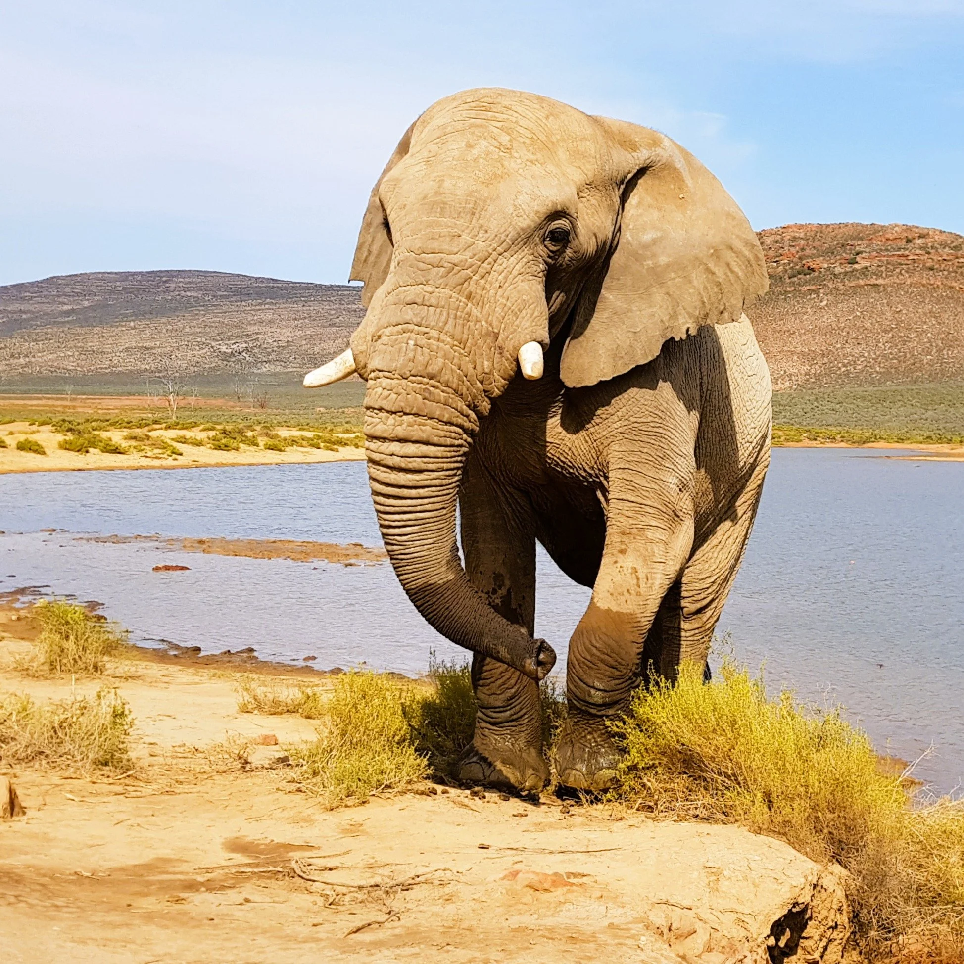 Educational Carousel 10.JPG