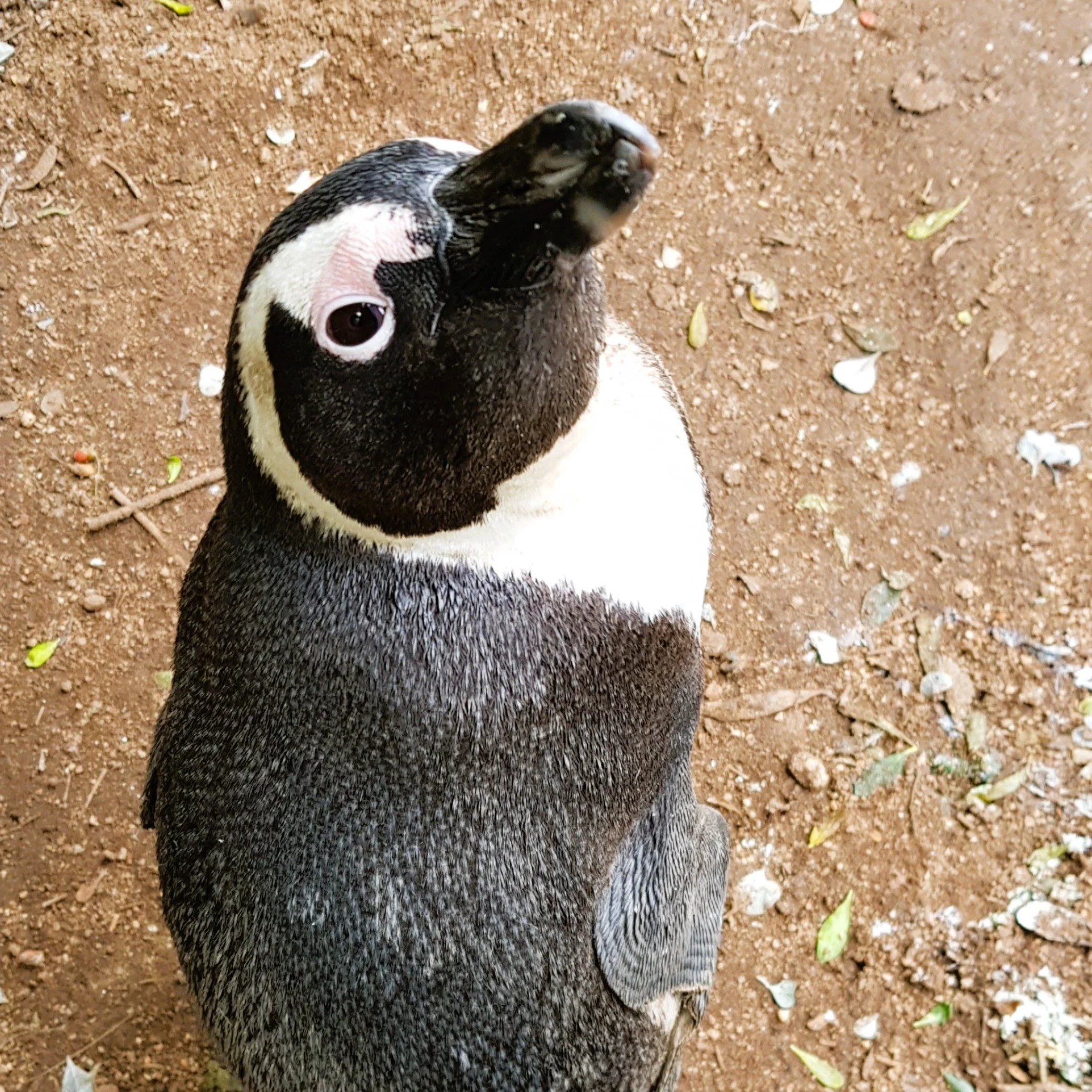 Educational Carousel 09.JPG