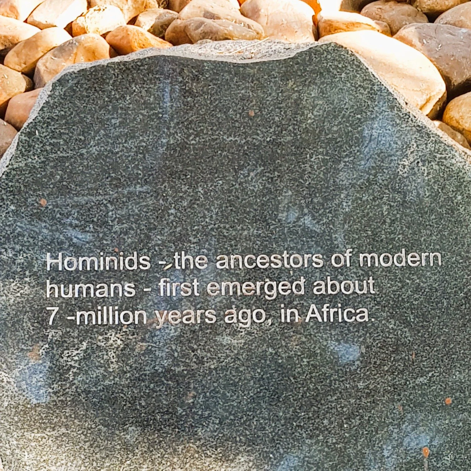 Educational Carousel 08.JPG