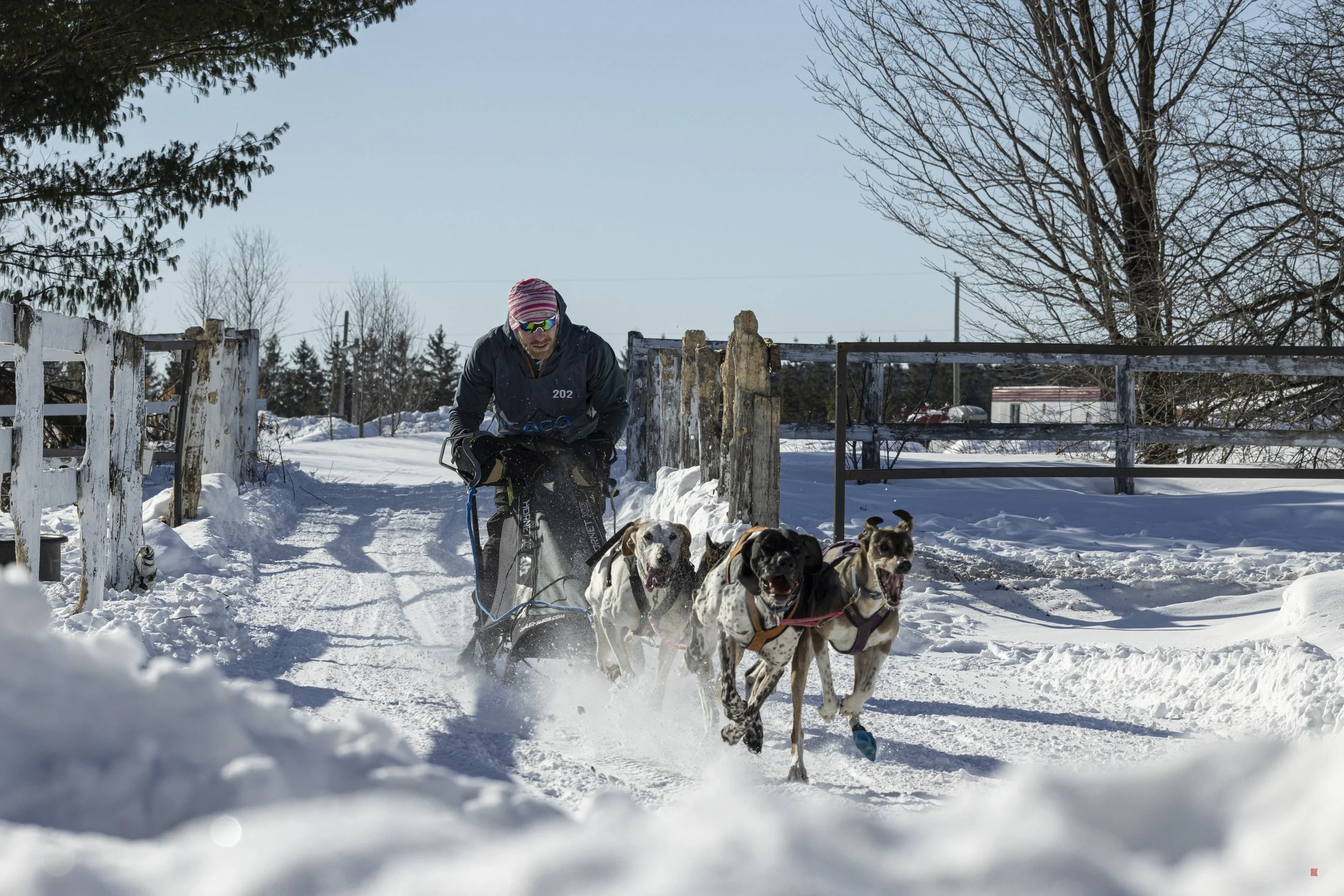 Défi hivernal de Portneuf 2026 _our 2_03.jpg