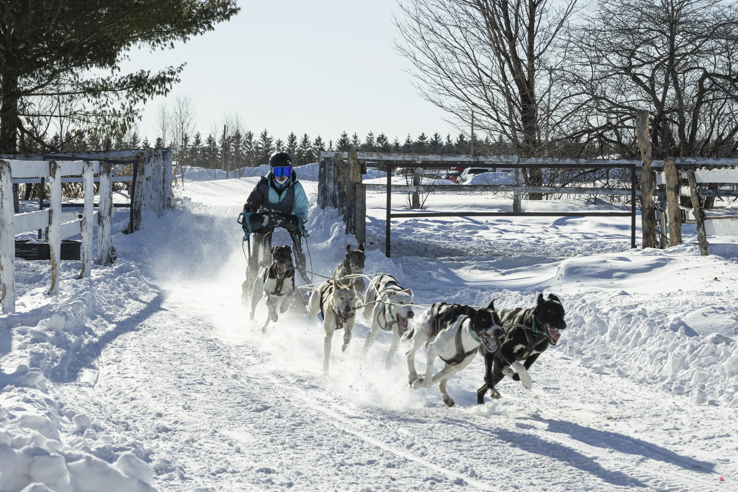 Défi hivernal de Portneuf 2026 _our 2_20.jpg