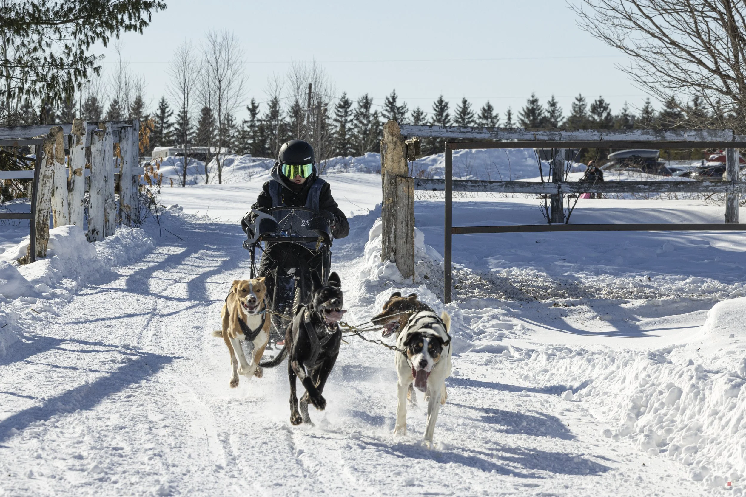Défi hivernal de Portneuf 2026 _our 2_13.jpg