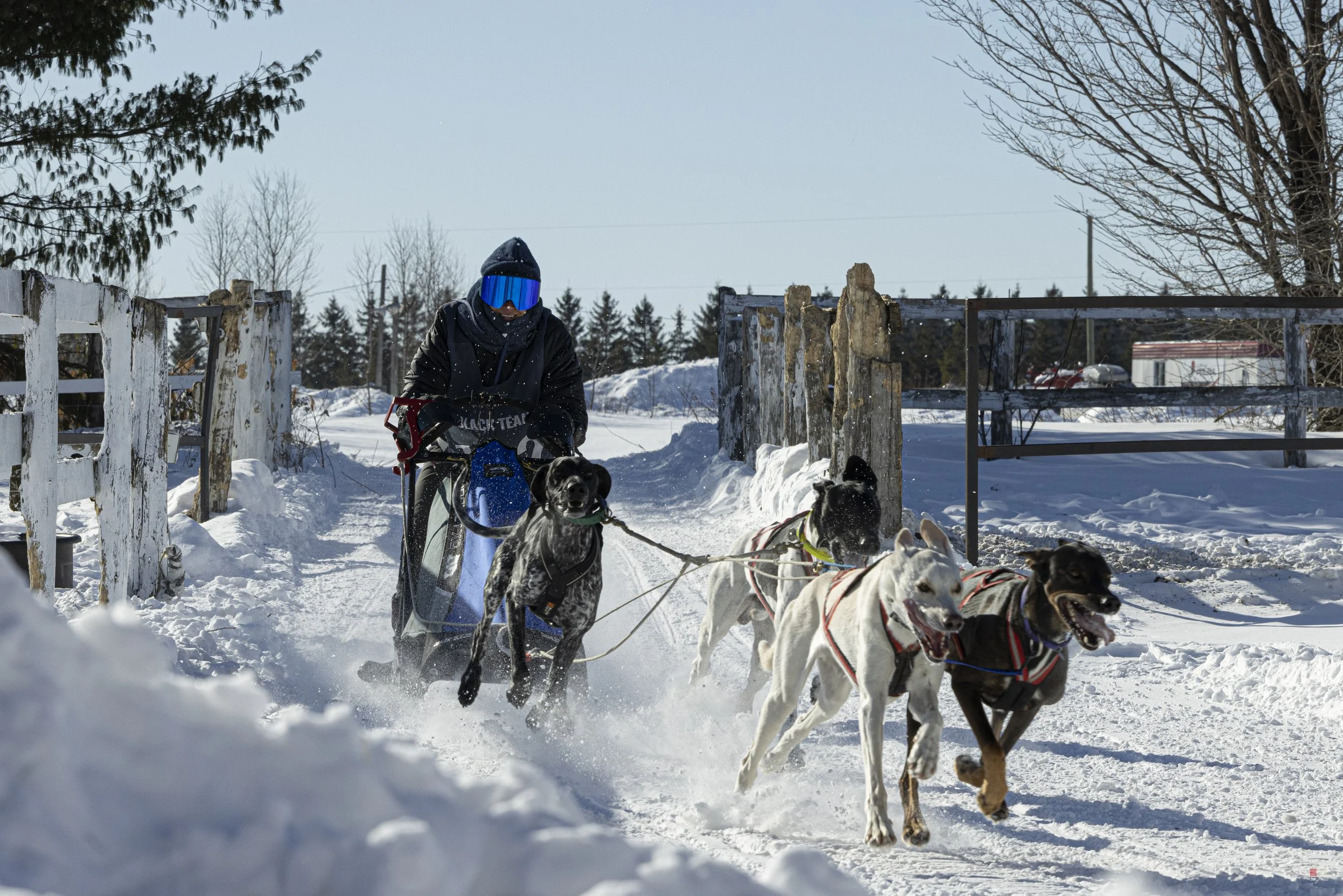 Défi hivernal de Portneuf 2026 _our 2_01.jpg