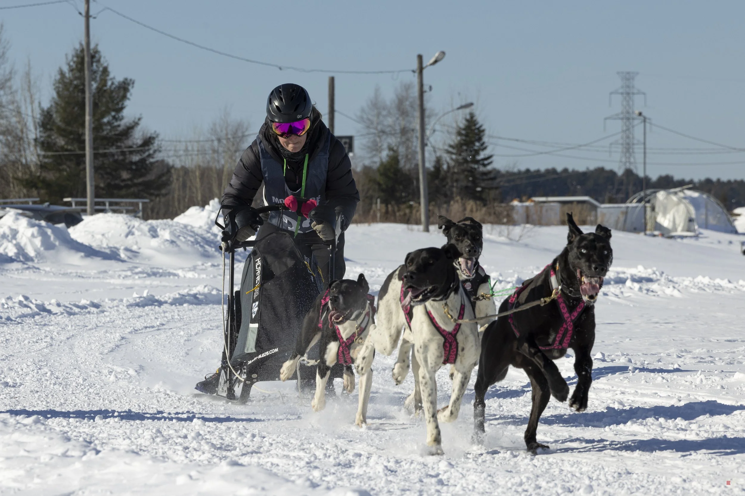 Défi hivernal de Portneuf 2026 _our 2_19.jpg