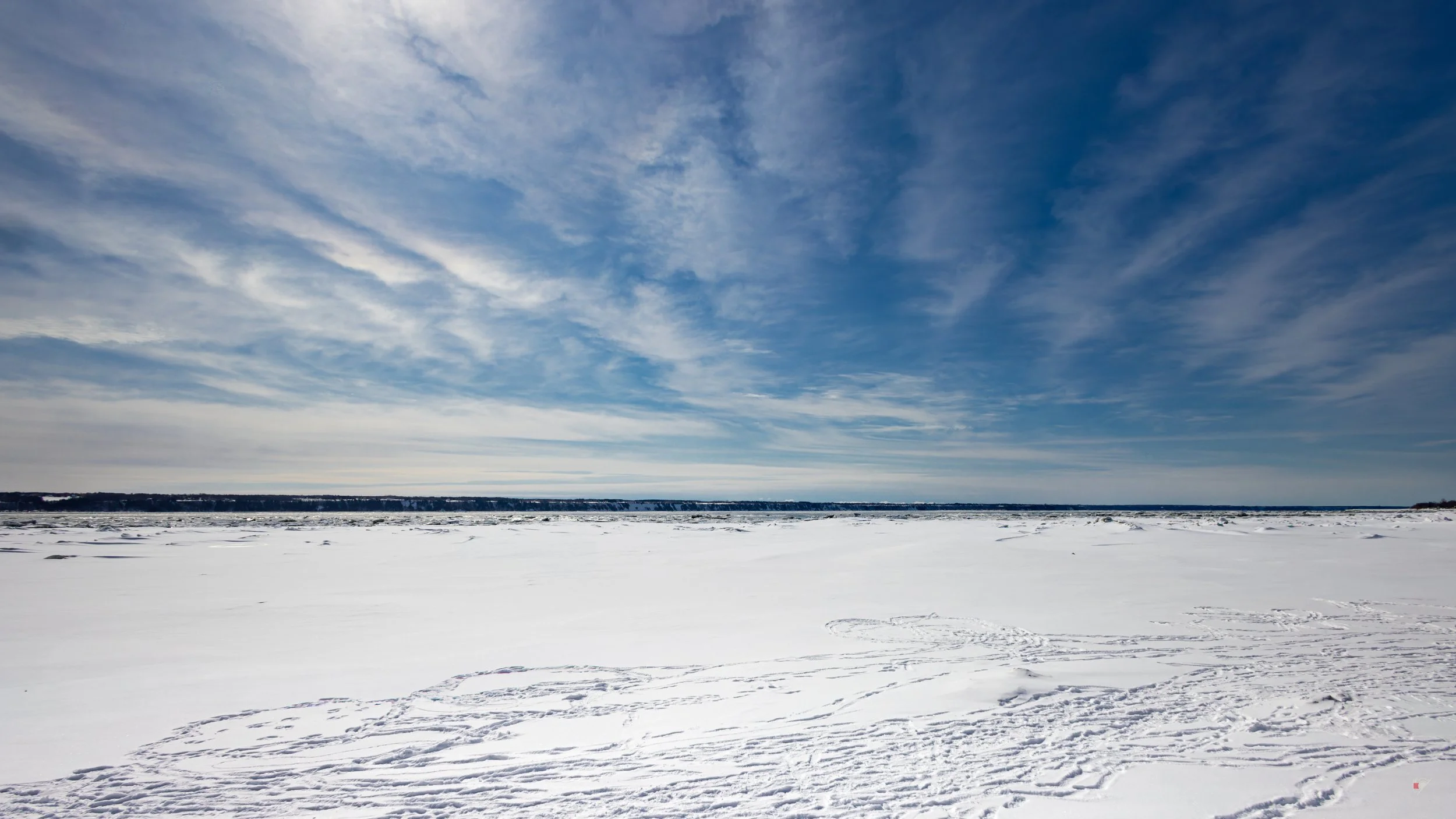 Marais Léon-Provancher_ Fleuve_150326-2.jpg