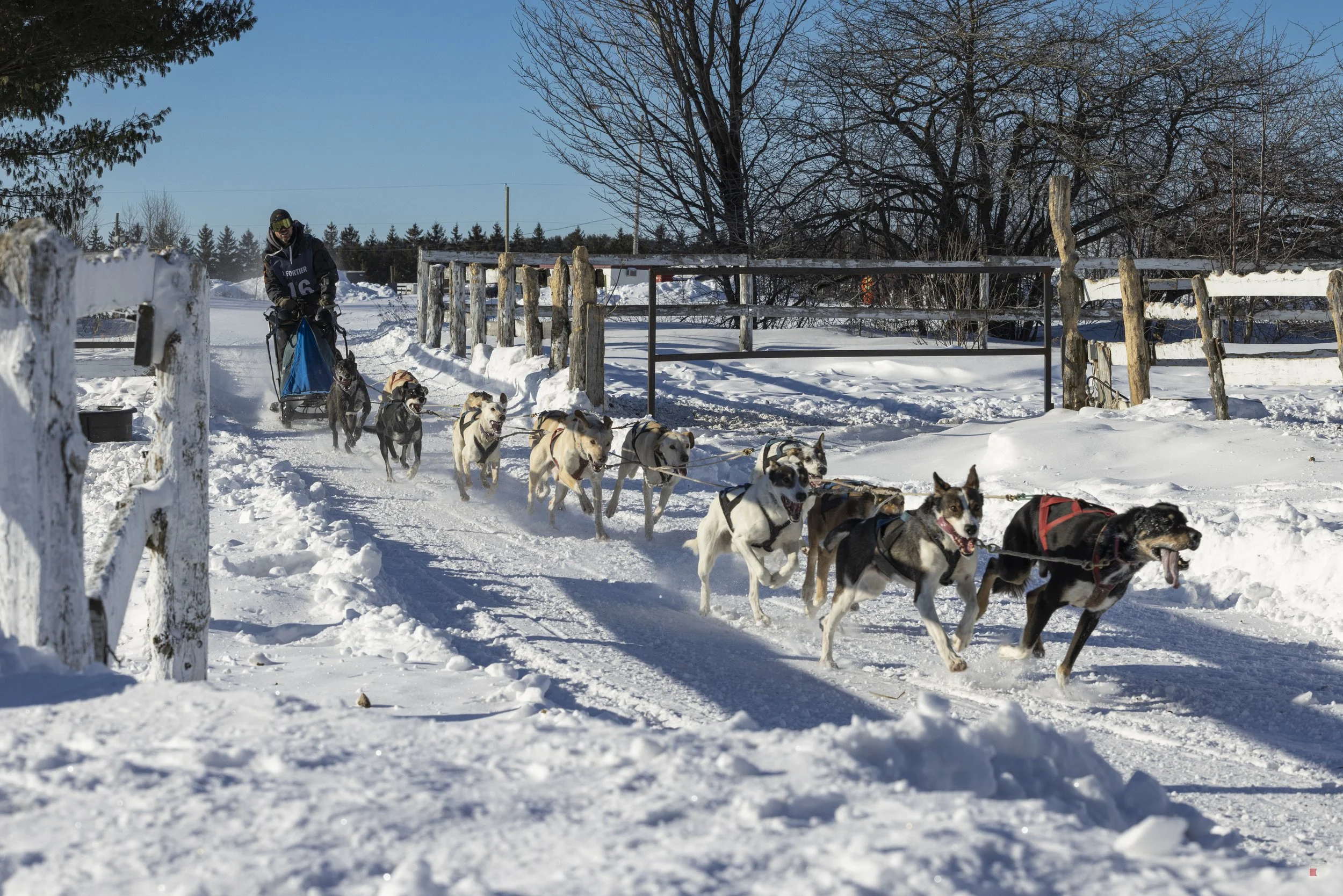Défi hivernal de Portneuf 2026 _matin_jour 2_06.jpg