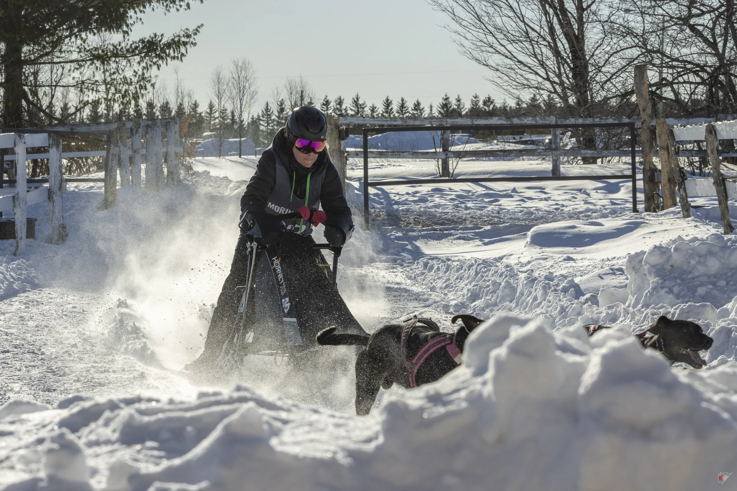 Défi hivernal de Portneuf 2026 _our 2_33.jpg