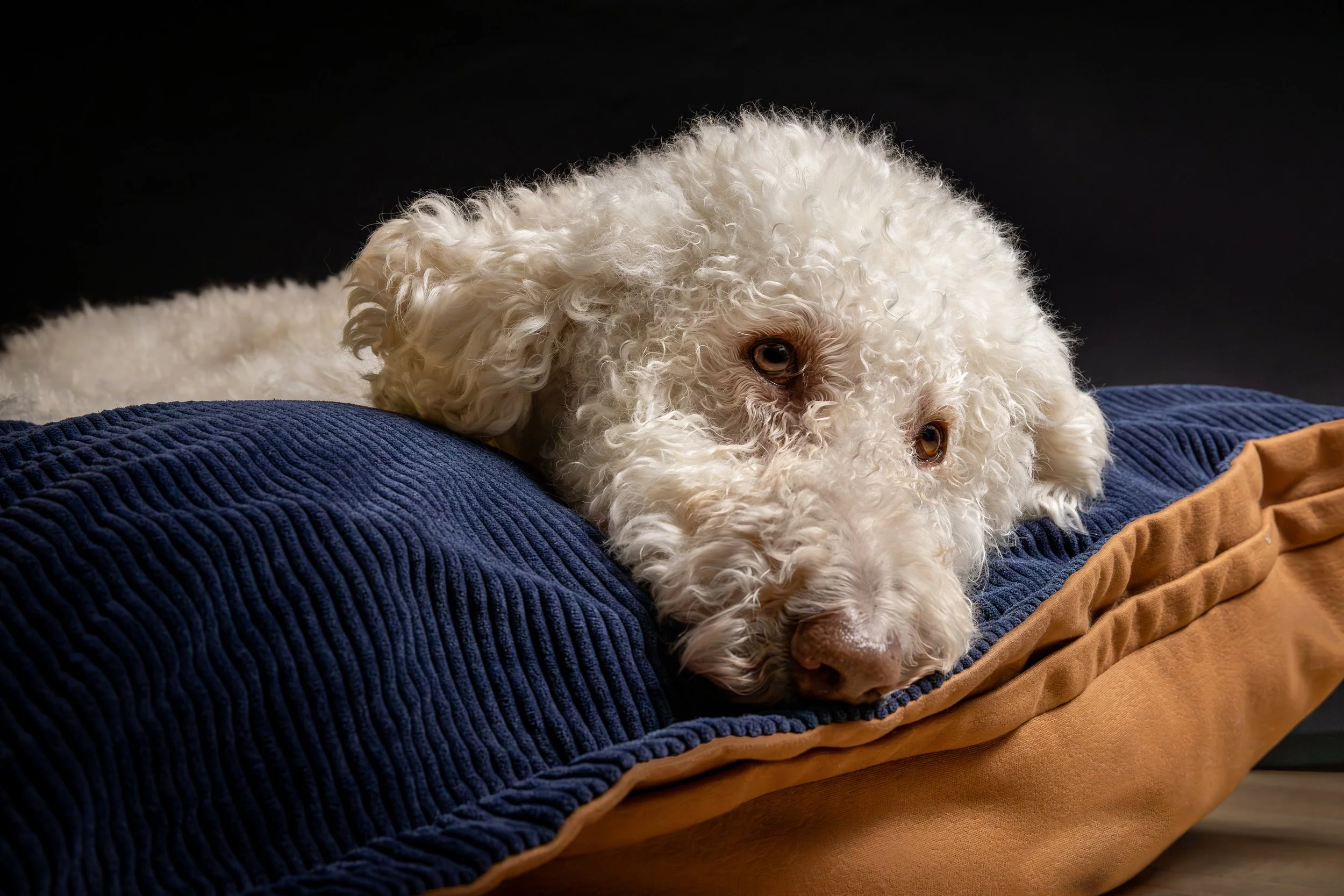 Charlotte 20k _2026.jpg