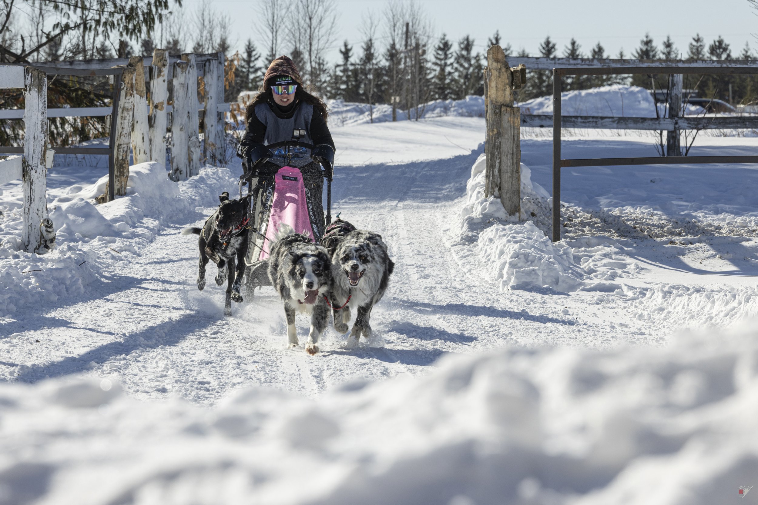 Défi hivernal de Portneuf 2026 _our 2_15.jpg