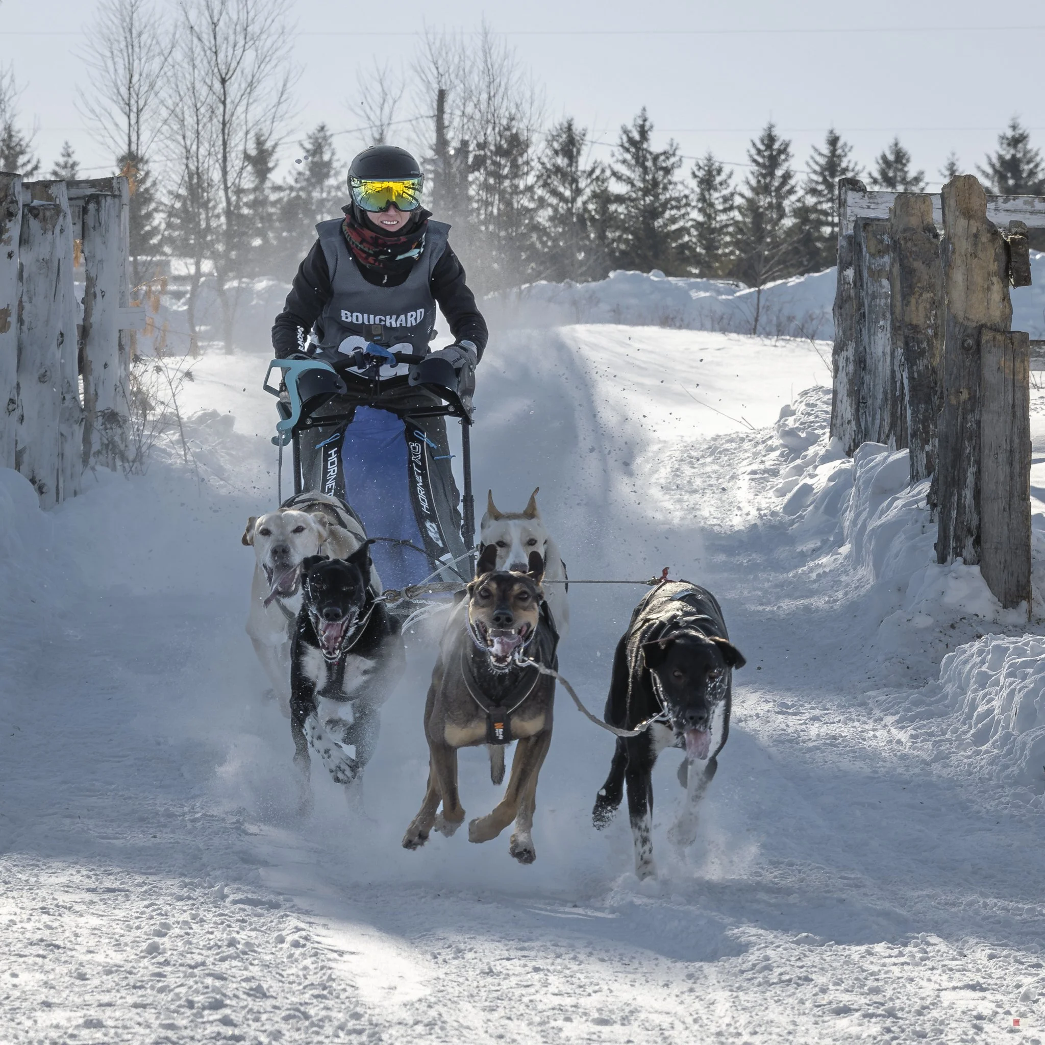 Défi hivernal Portneuf 2026_v6f.jpg