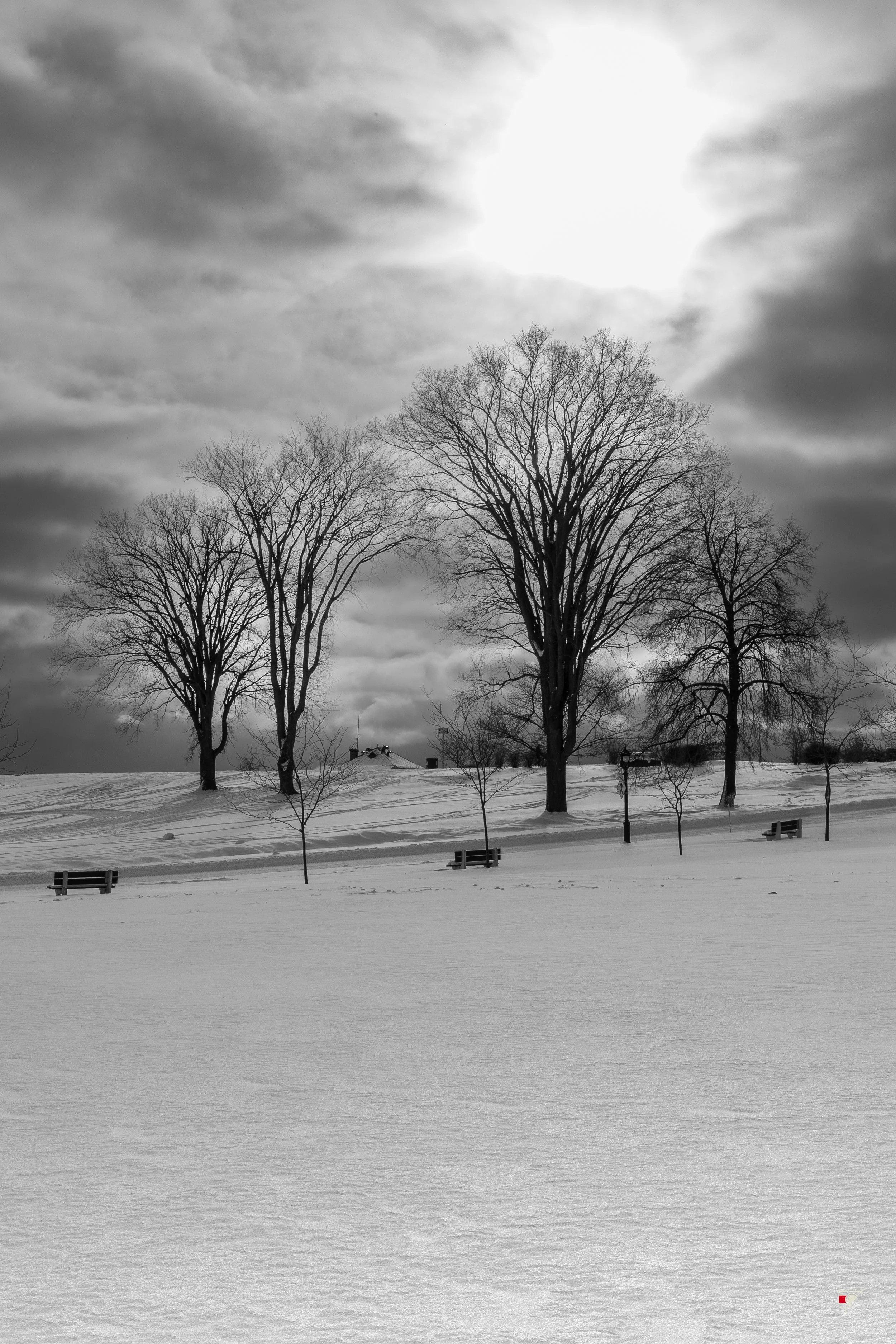 Vieux Québec _ B&W_0115122025.jpg