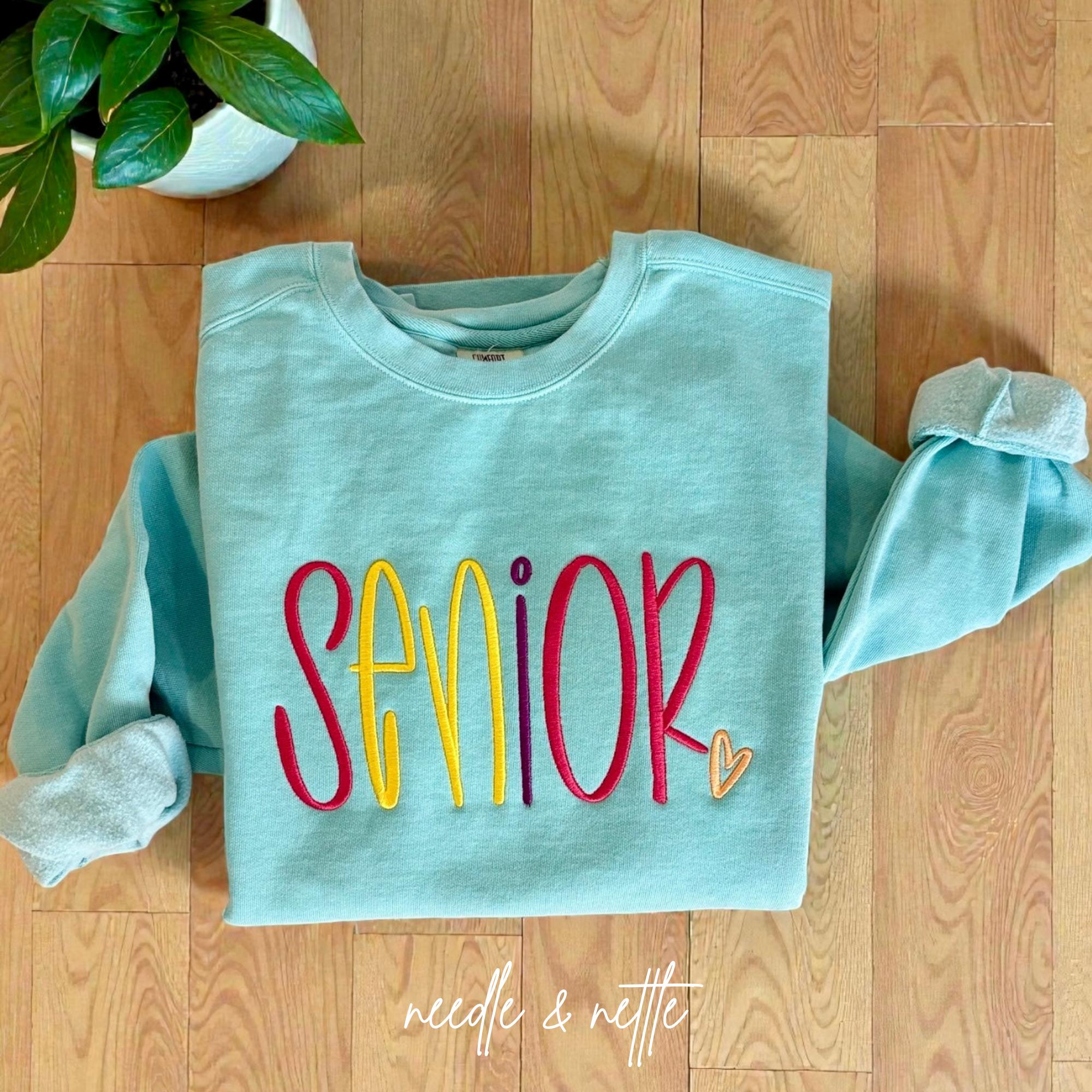 Senior Fun Mockup.png