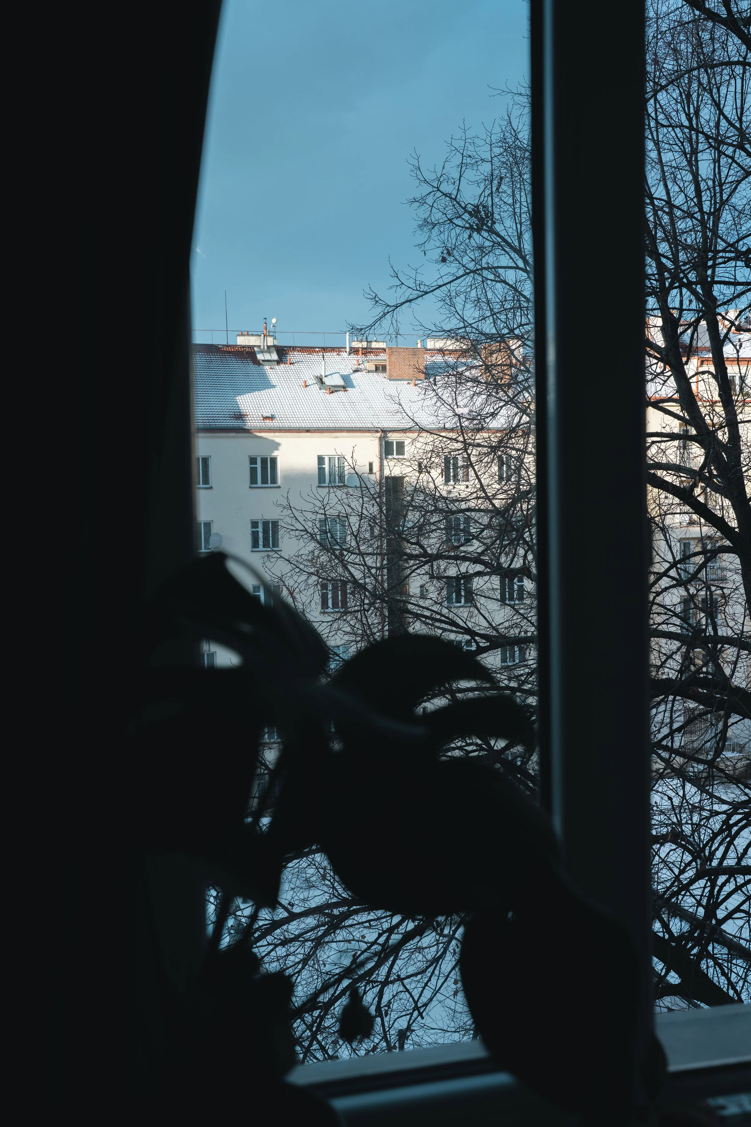 Na návštěvě u Táni