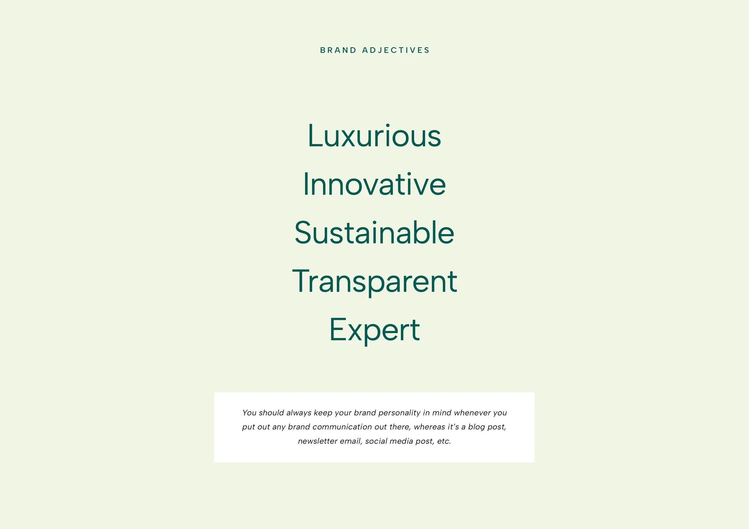 Tooth Angel Brand Presentation 2808235.jpg