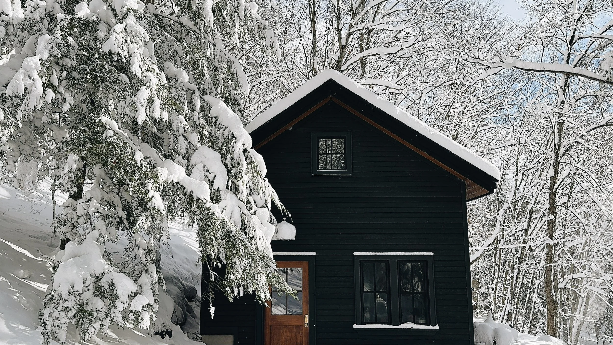 A green cedar clad cabin surrounded by snow-covered trees in a winter landscape.