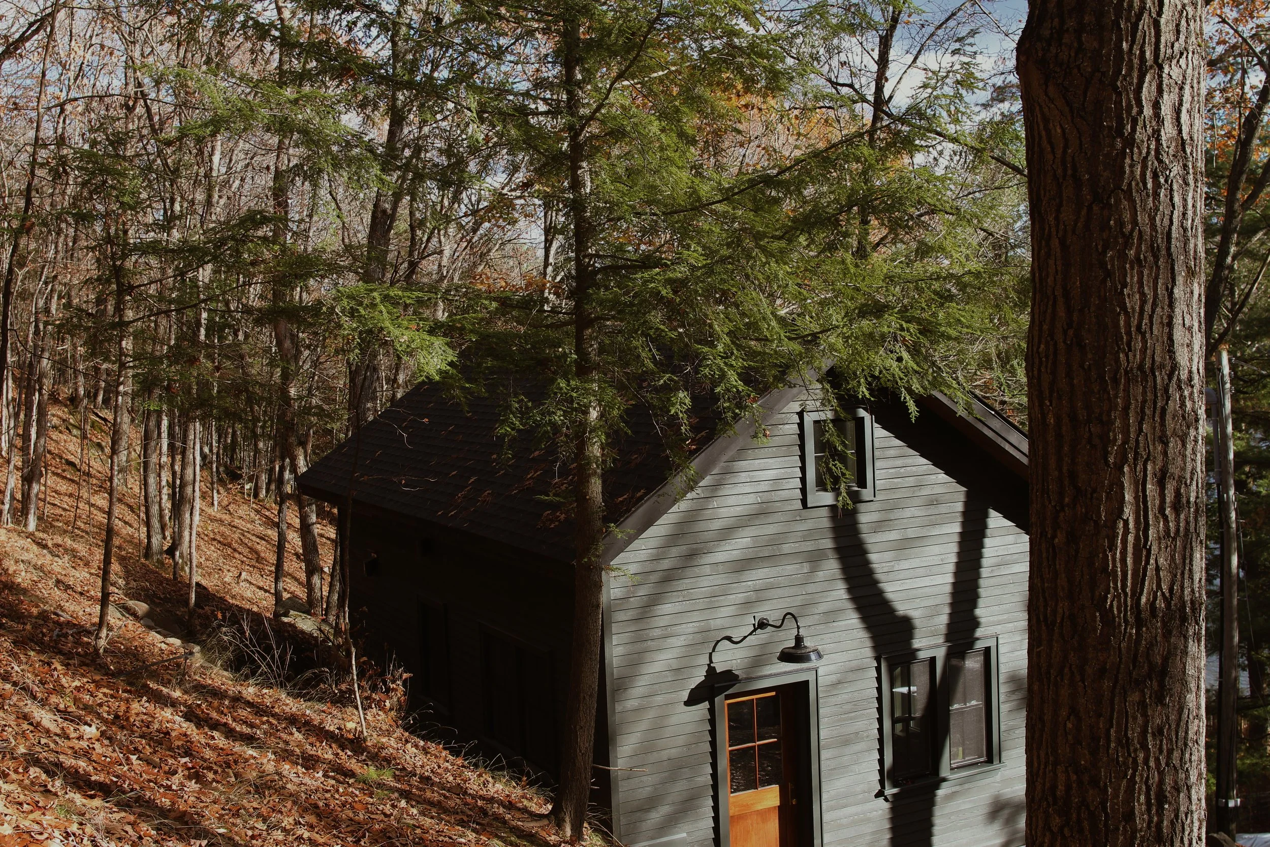 IMG_7673-VSCO (1).jpeg