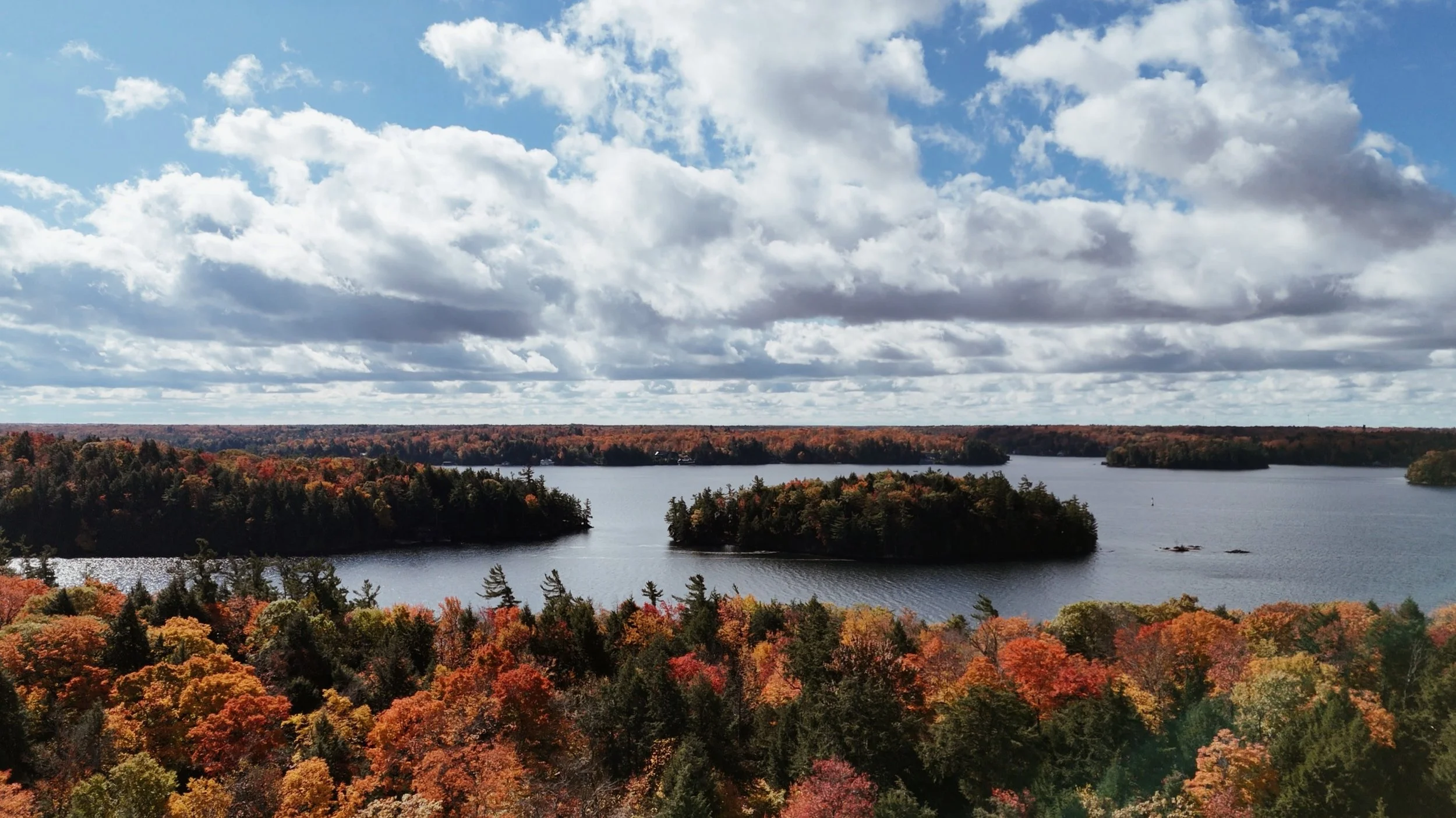 Steep-Hill-Studio-Muskoka-Lake-Scene-1.jpeg