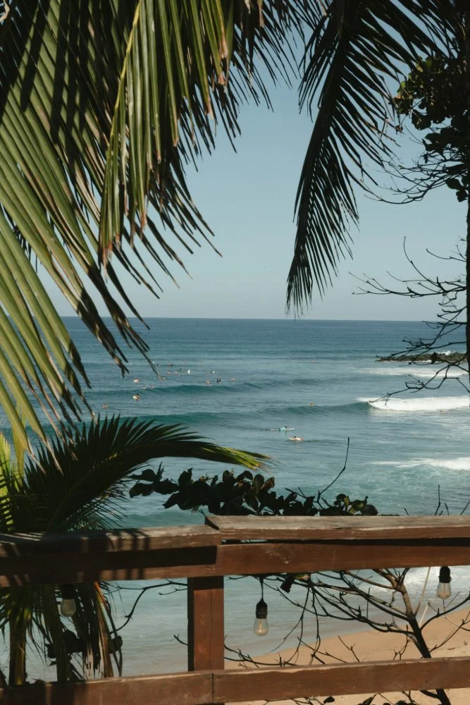 beach view and palm trees