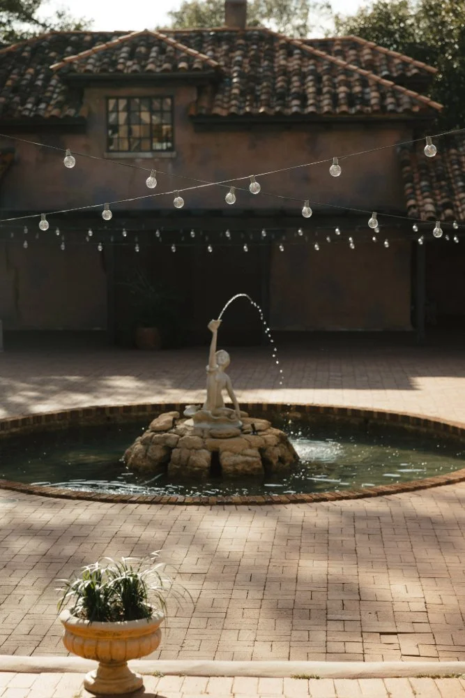 fountain at howey in the hills engagement session