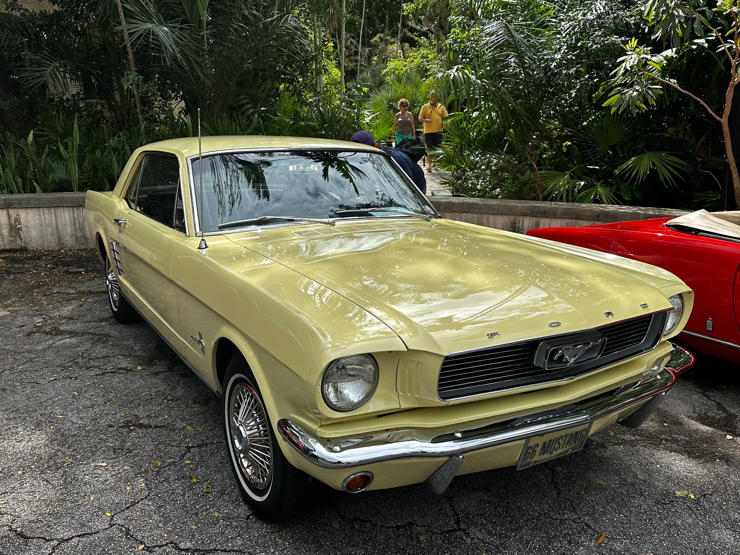 1966 Ford Mustang Coupe
