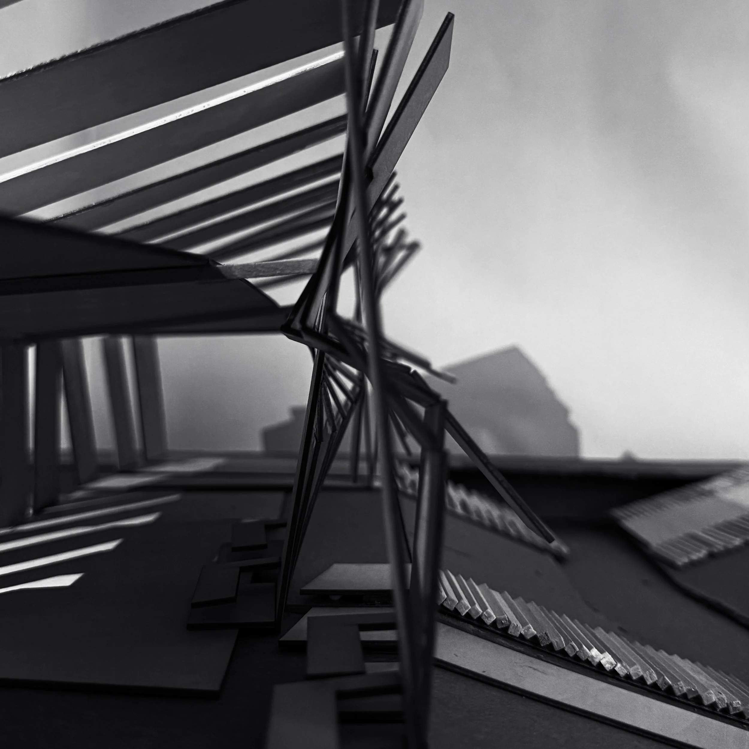 FullSizeRender 2 copy.jpg