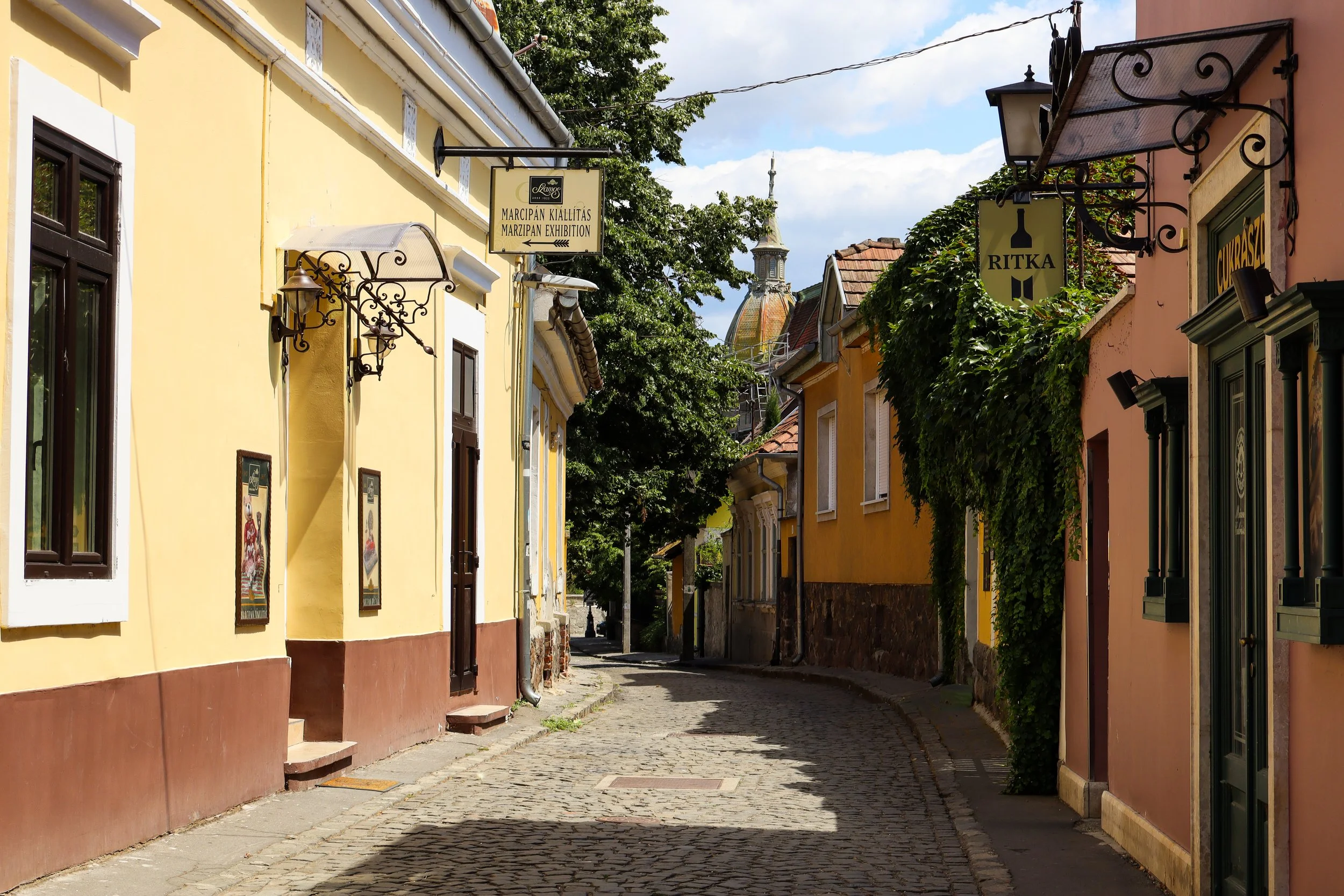 IMG_8641.jpg
