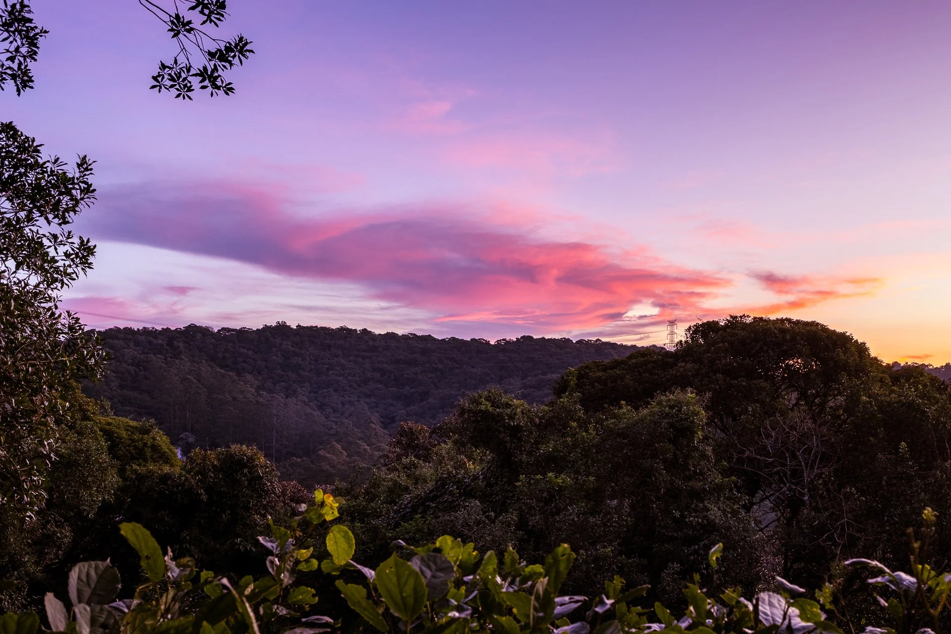 051_IMG_7940-HDR-42a.jpg