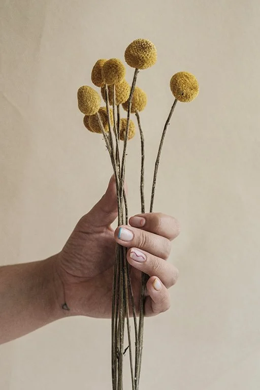 Luz em flor, 2024