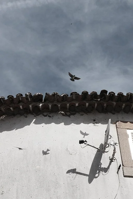 Alcains, Portugal 2025