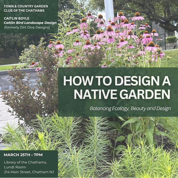 Designing with Native Plants
