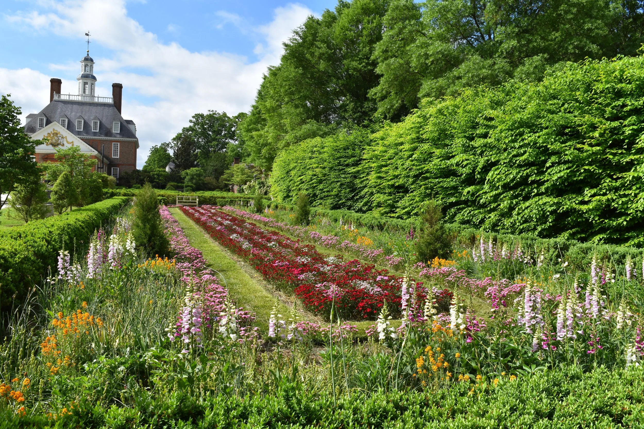 The Patriot & The Plant: Plant Geeks Who Built America