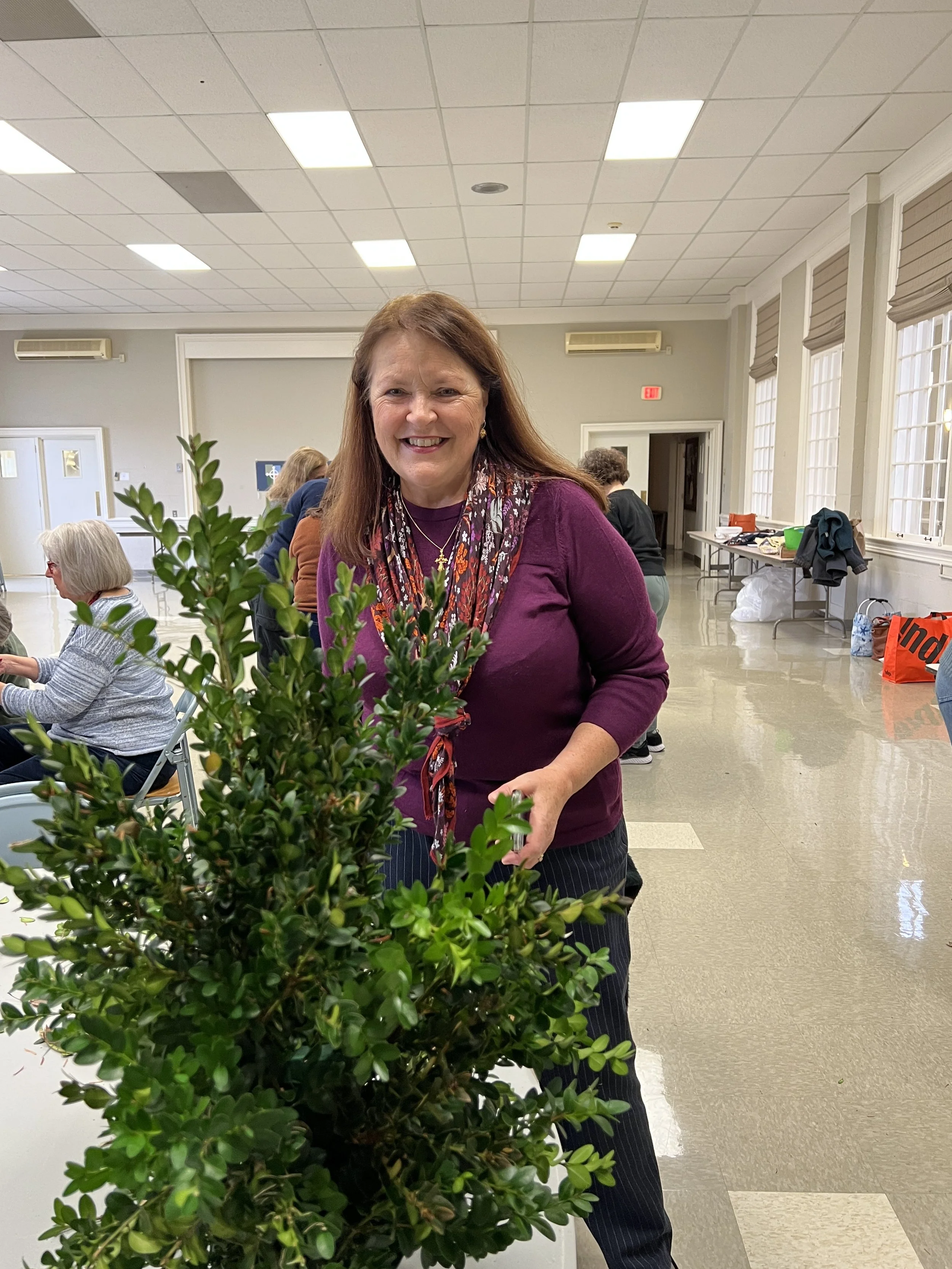 Holiday Boxwood Craft Nov 2025