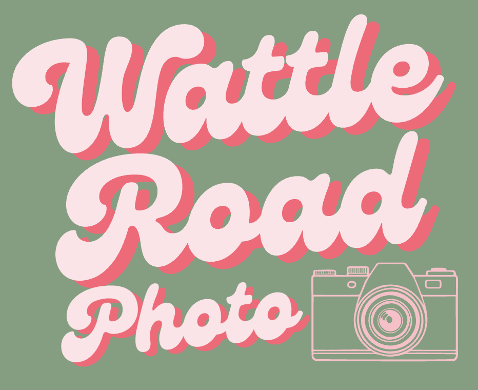 Wattle Road Photography