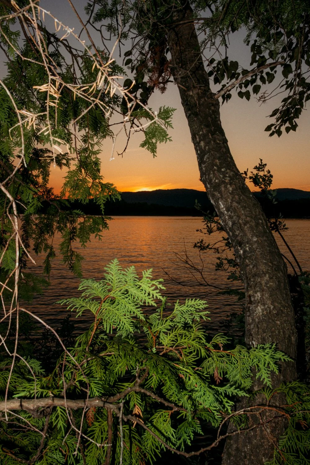 DSCF0672.jpg