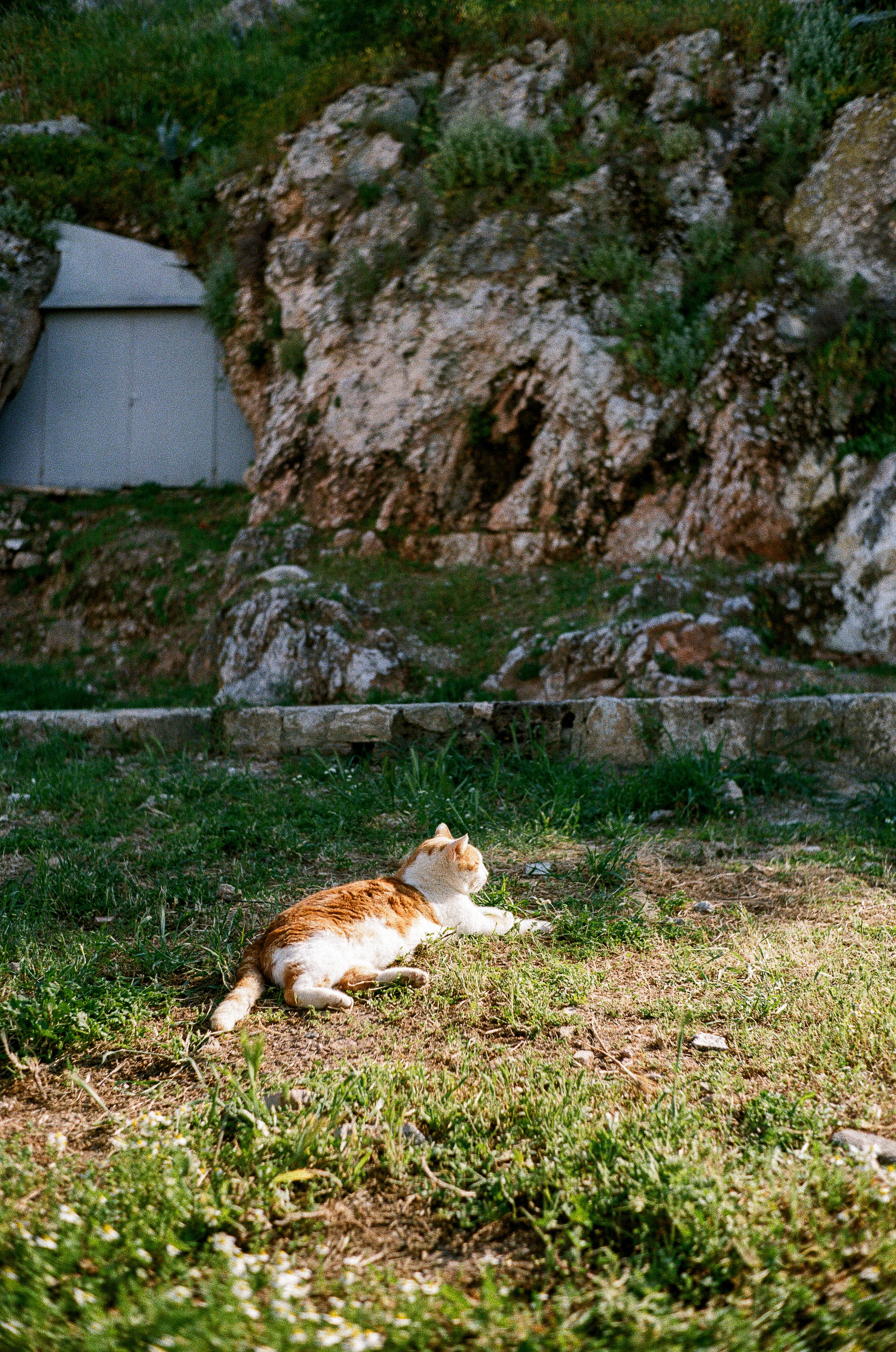 1970-05.jpg