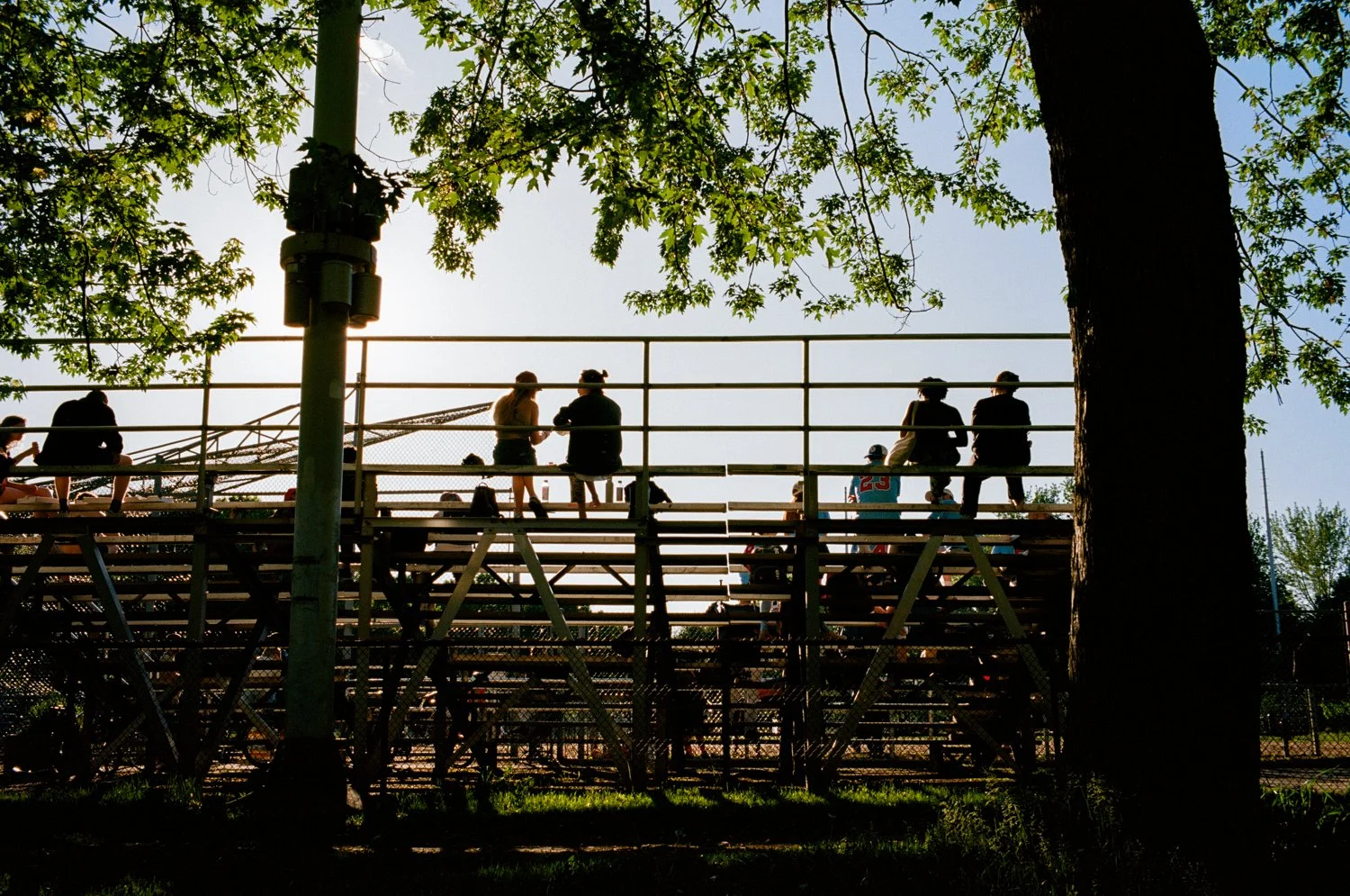 0463-06.jpg